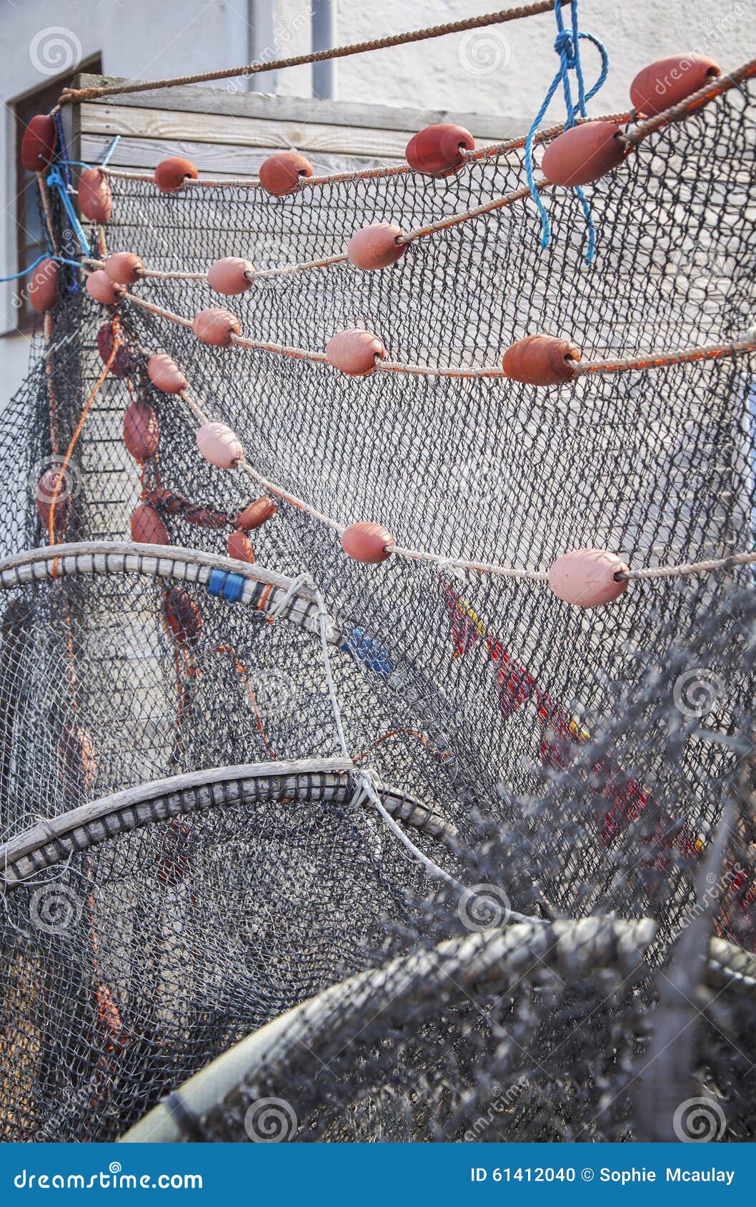 Fish netting stock photo. Image of cord, mesh, cork, maritime - 61412040