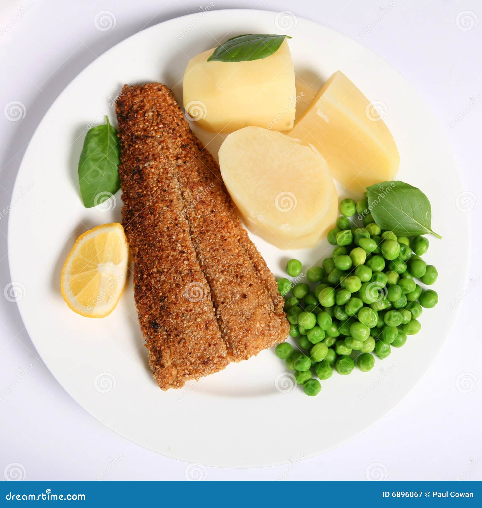 Fish in oatmeal from above stock image. Image of wedge 6896067