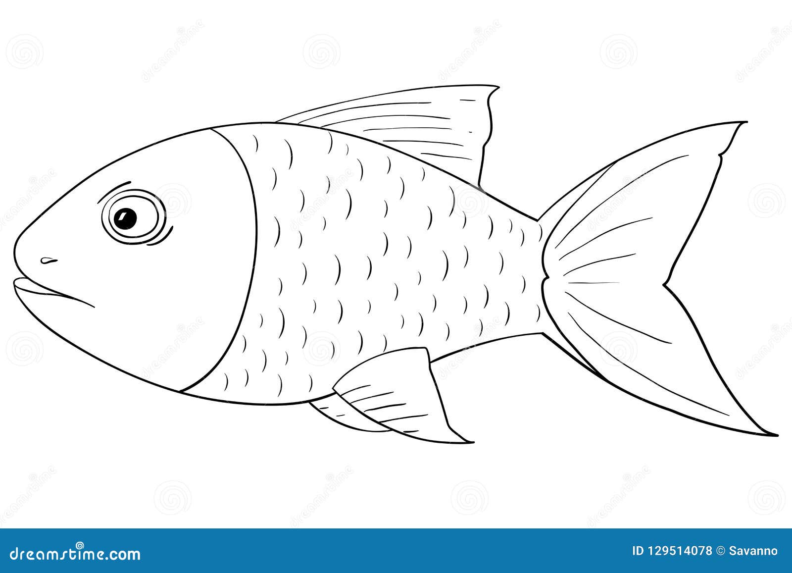 Fish. Outline drawing stock vector. Illustration of graphic ...