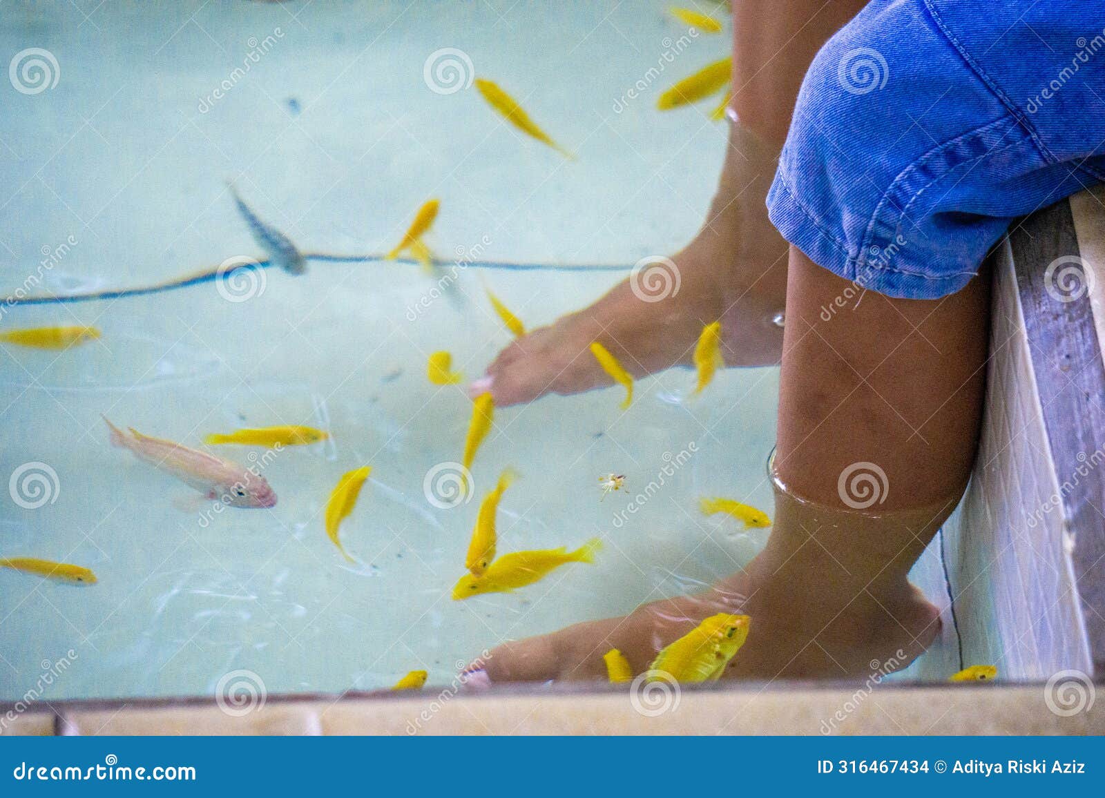 fish pedicures, also known as garra rufa therapy. this fish eats dead skin cells