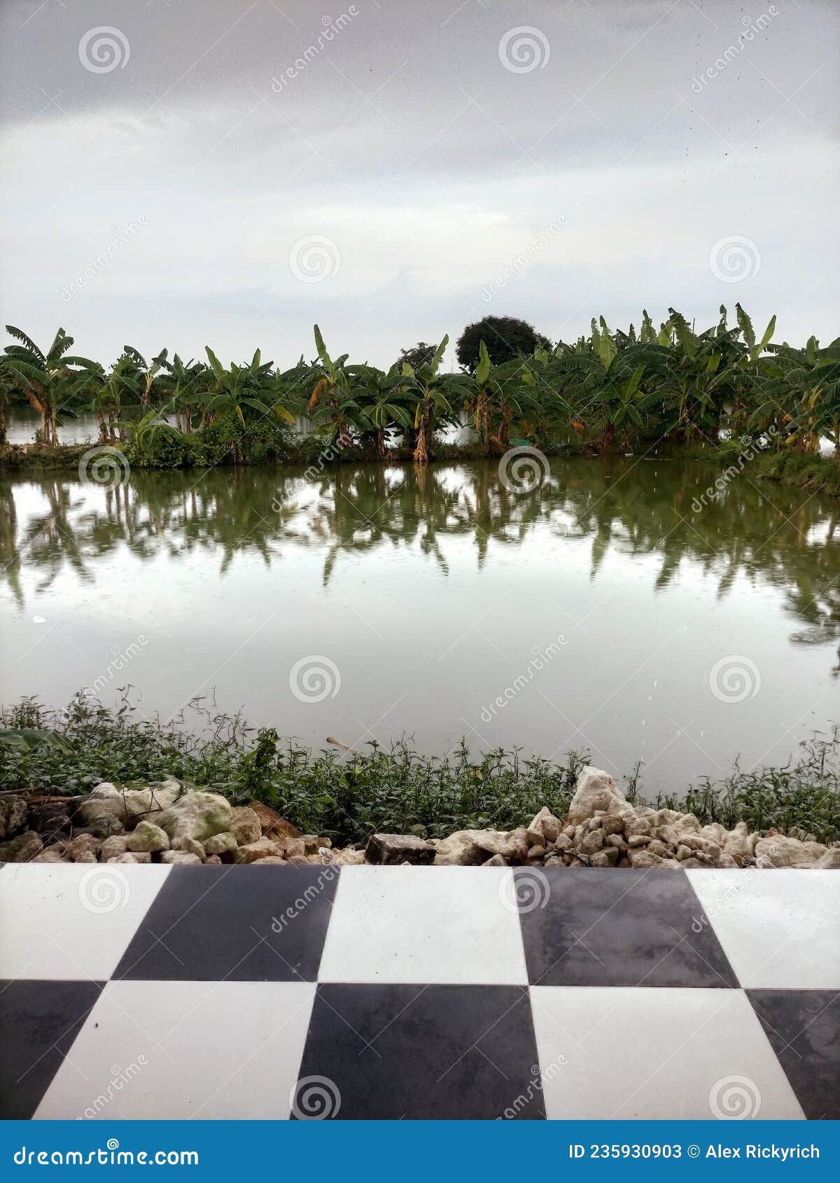 Fish pond behind the house stock image. Image of pond 235930903