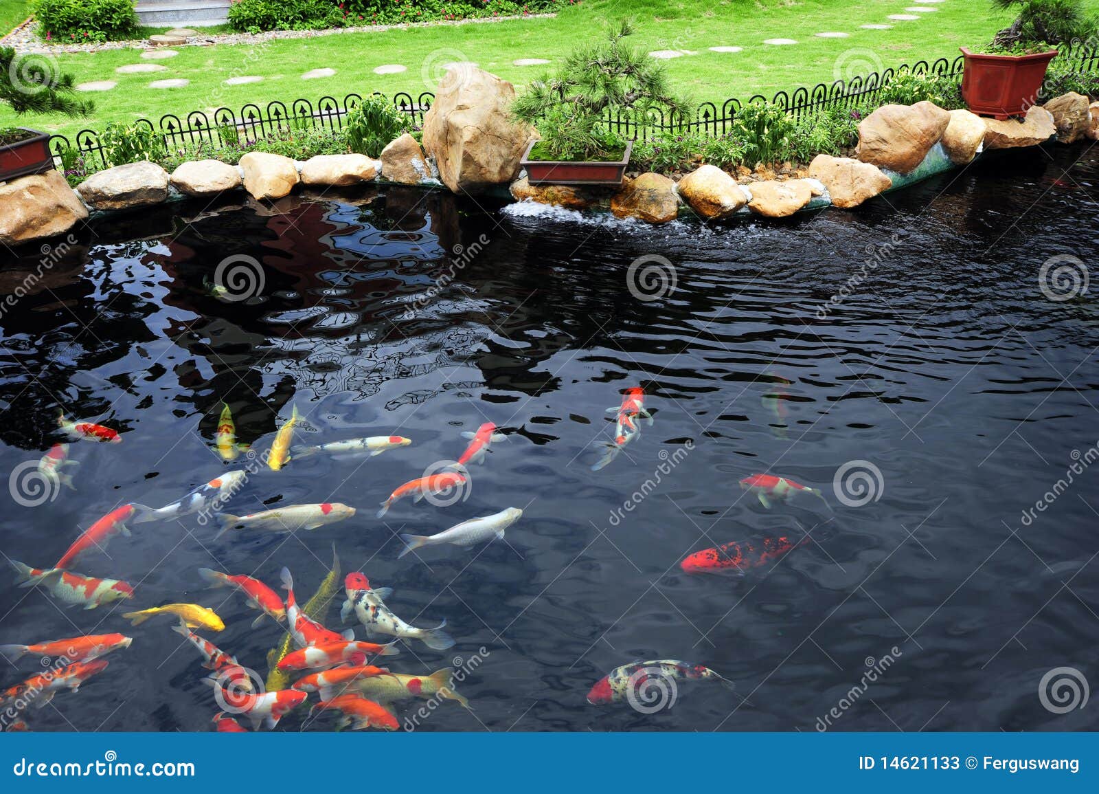 a fish pond in garden