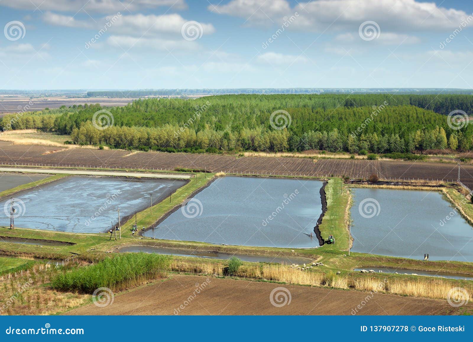 Fish Pond Hatchery Agriculture Rural Stock Photo - Image of business,  industrial: 137907278