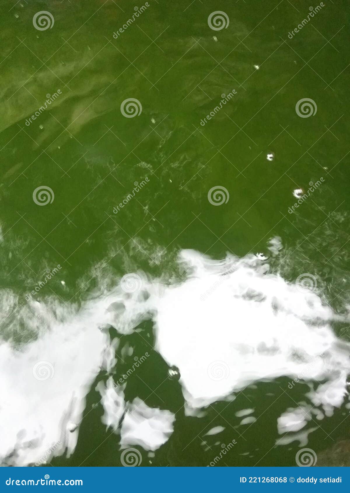 Fish pond water green stock photo. Image of green, gree 221268068
