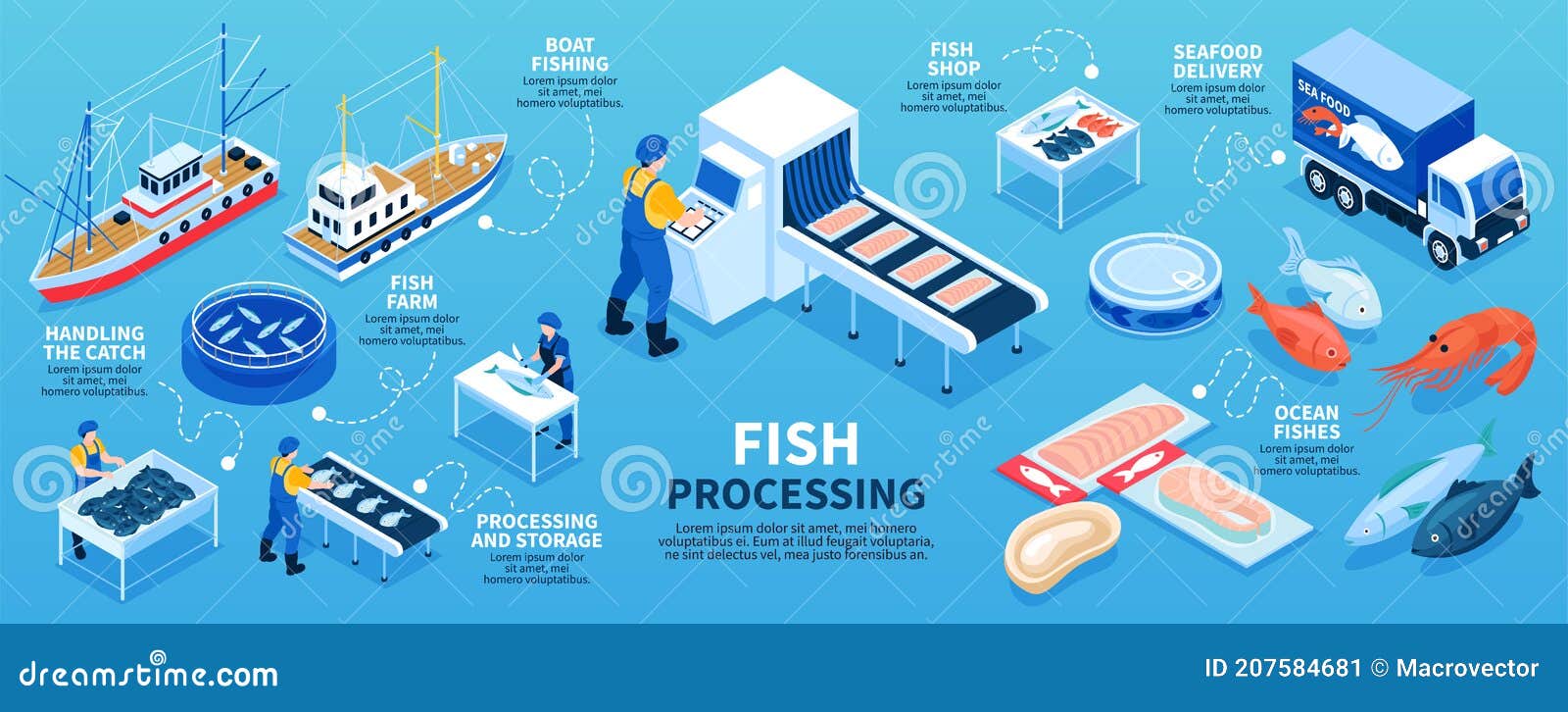 Fish Processing Isometric Infographics Scheme Stock Image Image of