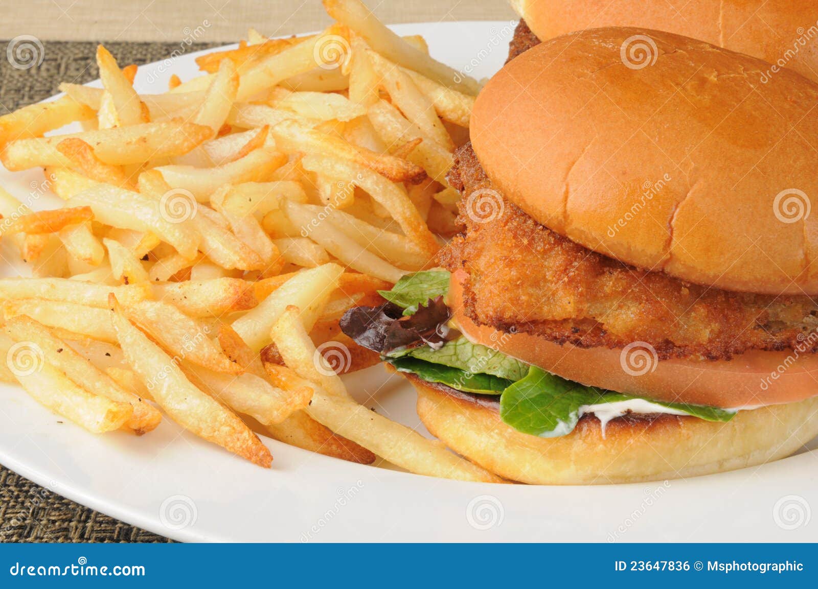 Fish sandwich and fries stock photo. Image of breaded 23647836