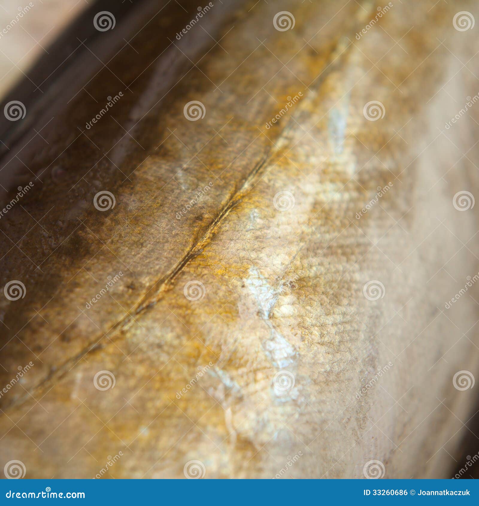 Fish scale stock photo. Image of macroperspective, noth 33260686