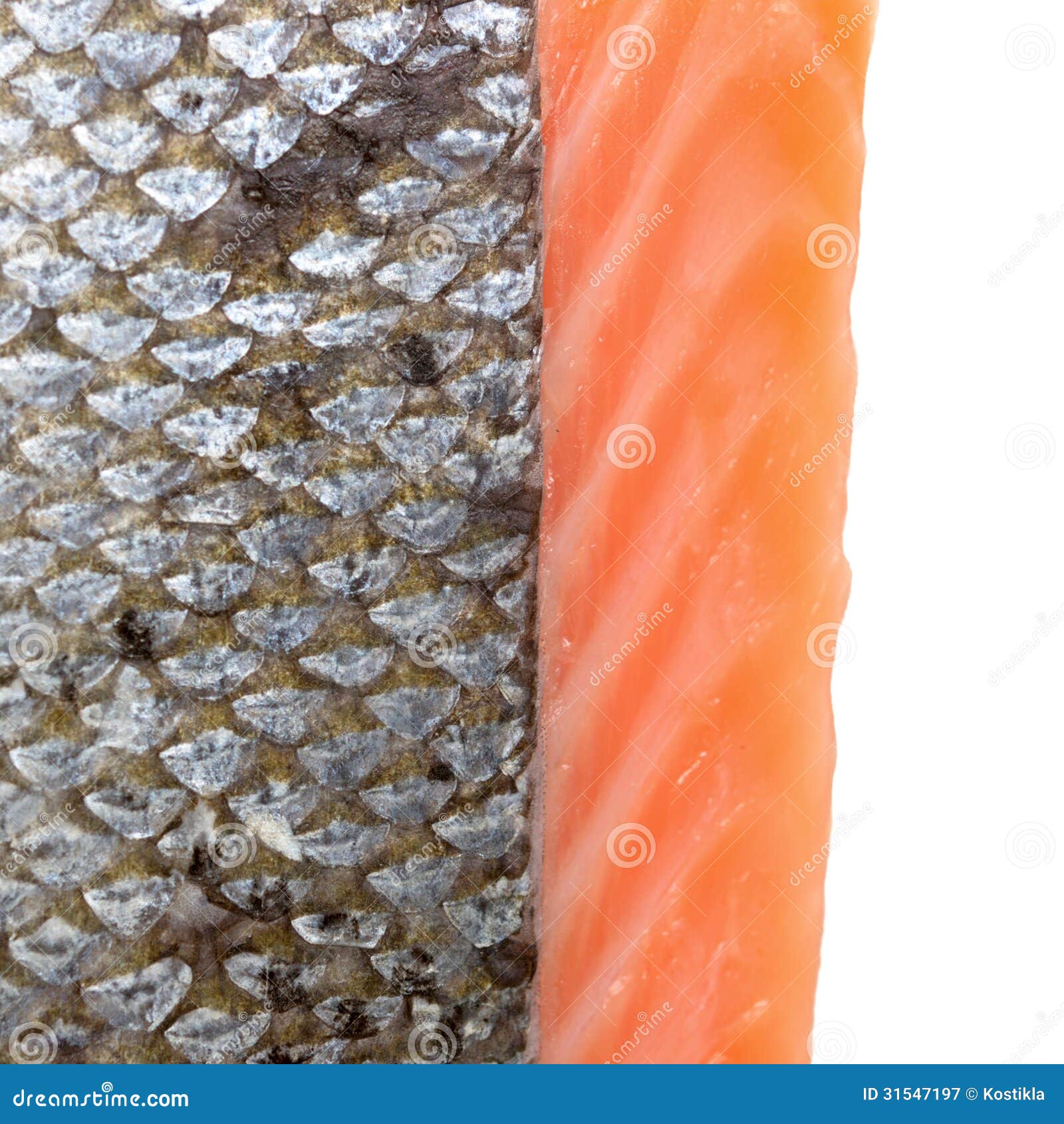 Fish scales stock image. Image of salar, food, fillet 31547197