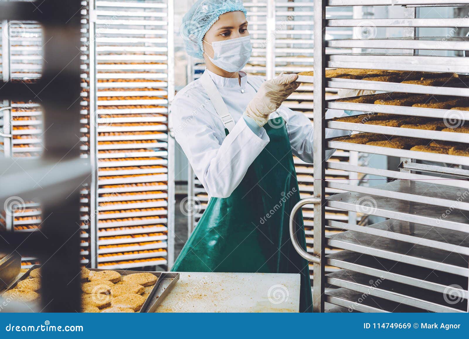 Fish seafood factory stock image. Image of manufacturing 114749669