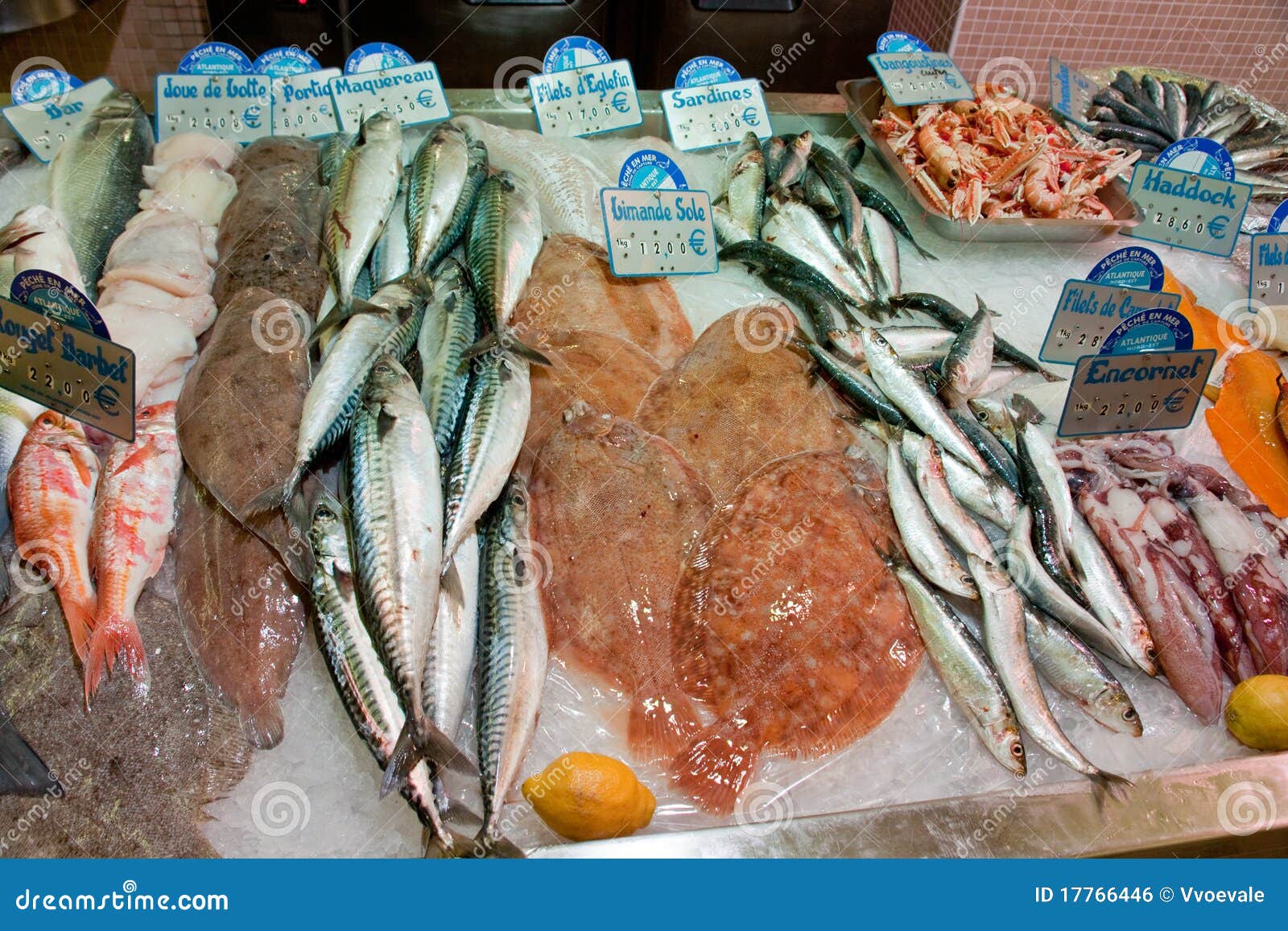 aquatic fish store near me aquatic fish store near me