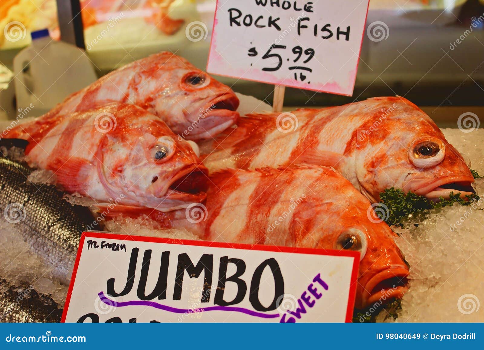 Fish stock image. Image of jumbo, market, fish, seattle 98040649