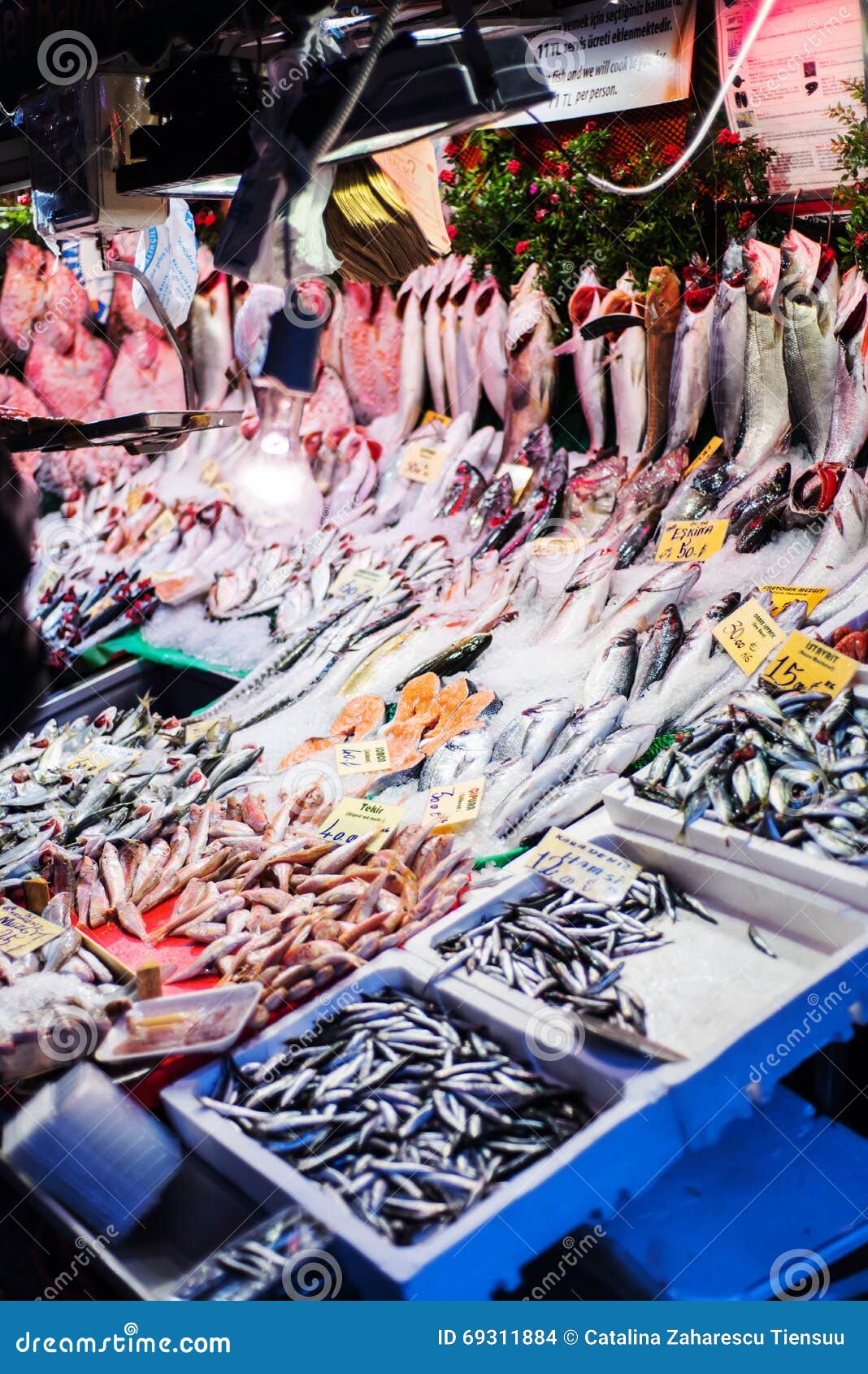 fish and shellfish street shop in kadikoy area, istanbul