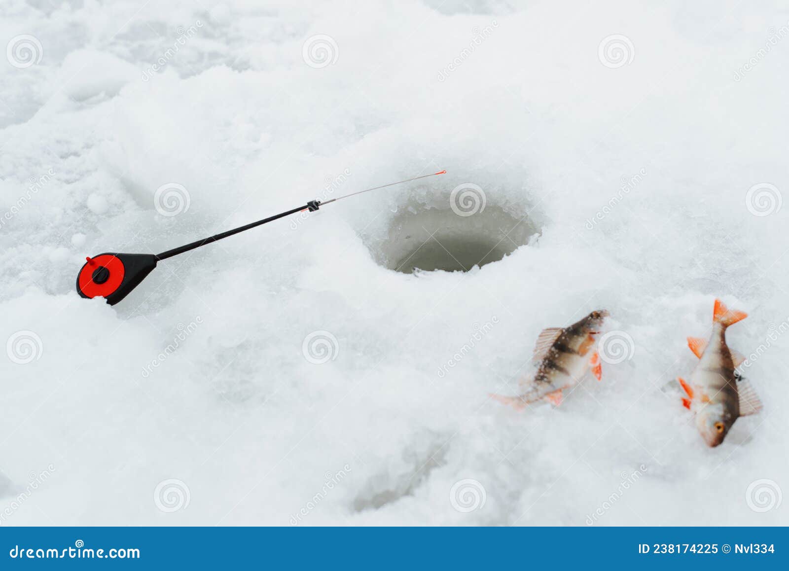 Fish and Small Ice Fishing Rod Near Hole in Frozen Water, Outdoors. Winter  Hobby Sport, Active Leisure Concept Stock Image - Image of season,  recreational: 238174225
