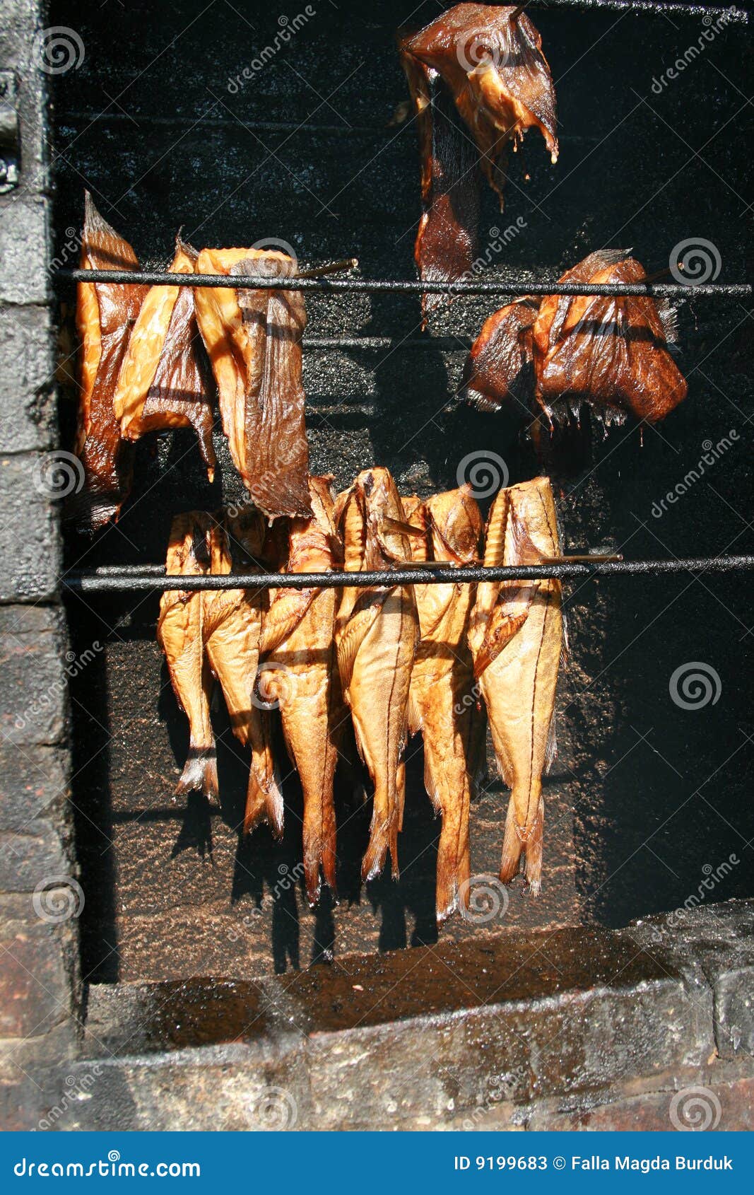 Fish smokehouse stock image. Image of delicious, smoked 9199683