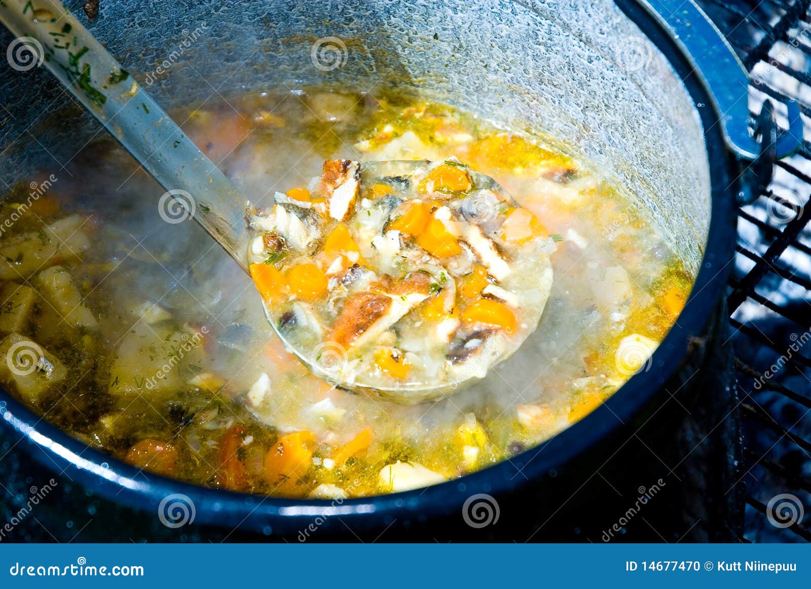 Fish soup stock photo. Image of fresh, fish, camp, grill 14677470