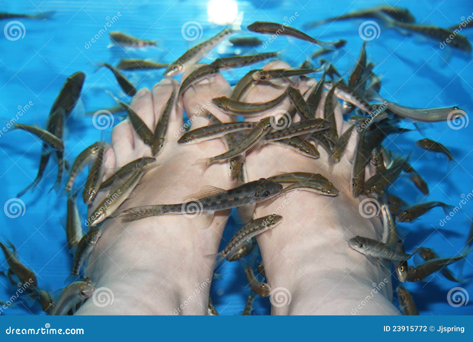 Fish Spa stock photo. Image of manicure, blue, adult 23915772
