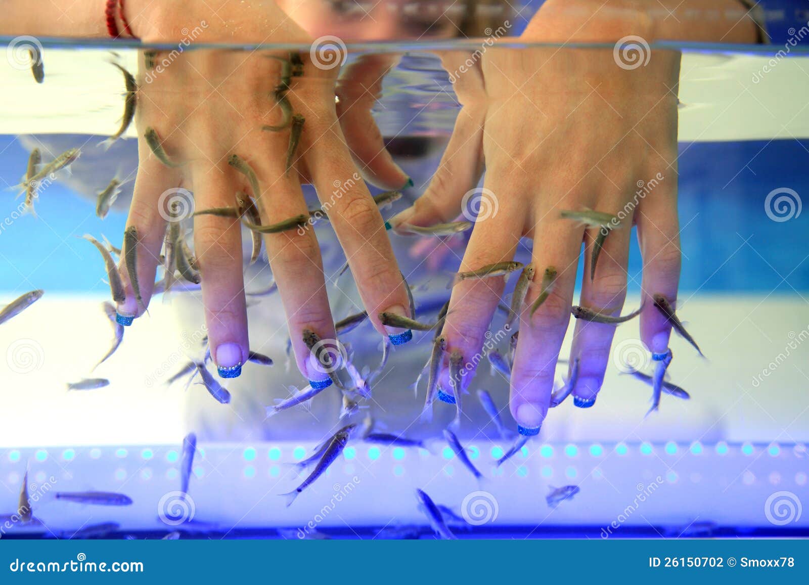 Fish spa stock photo. Image of aquarium, tank, clean 26150702