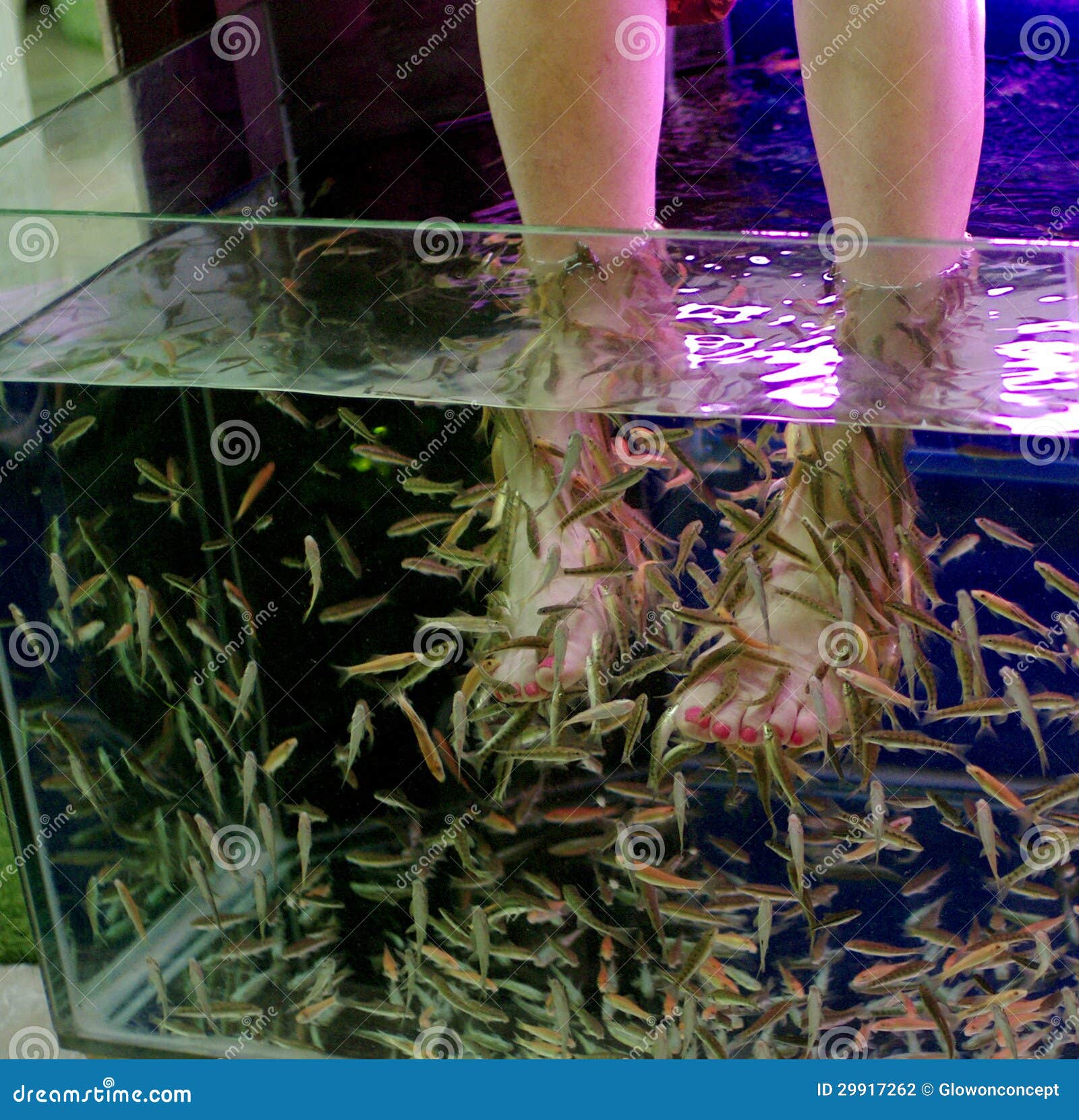 Fish spa for feet stock photo. Image of therapy, tailand 29917262