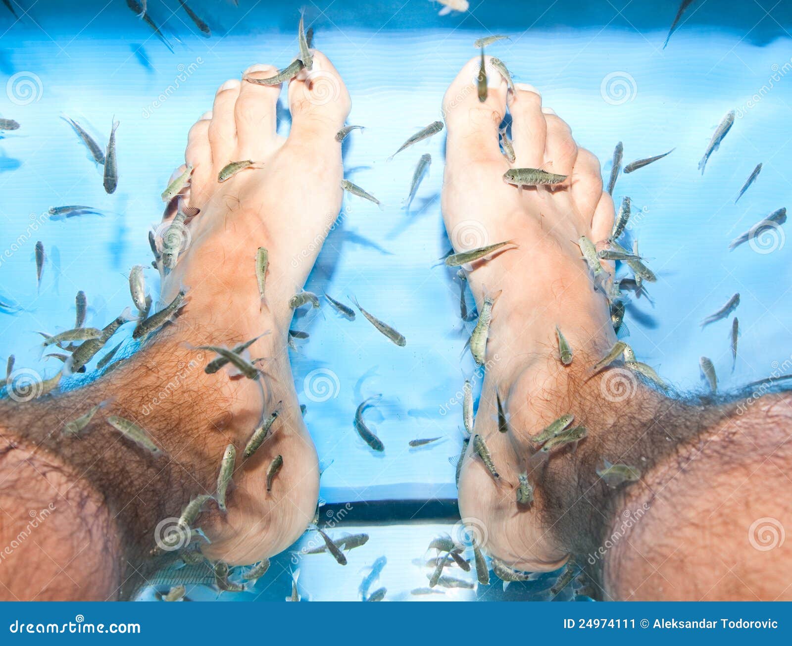 Closeup shot of the foot of a female surrounded by small fish during a fish  spa treatment Stock Photo by wirestock