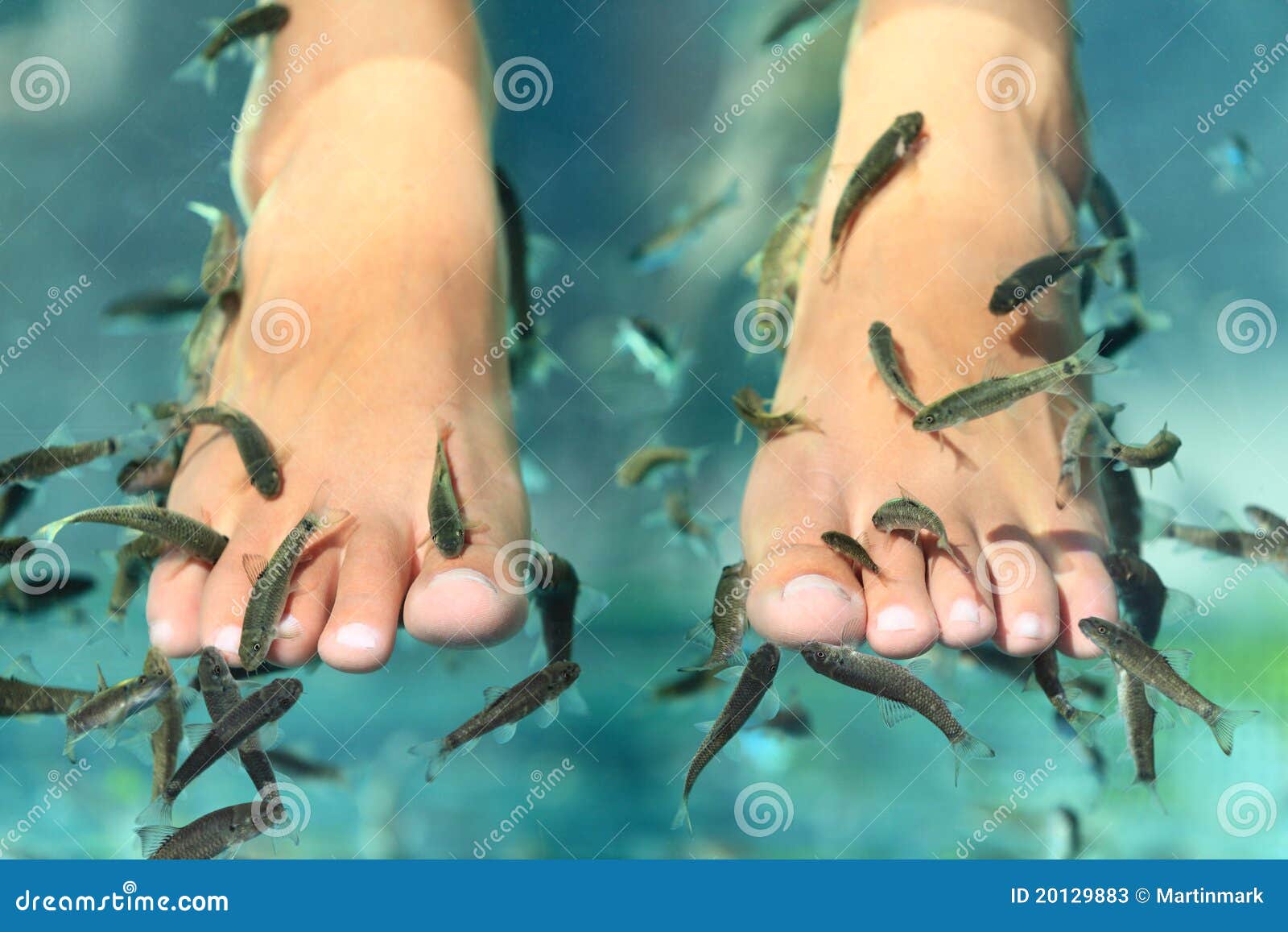 Fish pedicure spa stock photo. Image of soft, cure, nails - 40410452