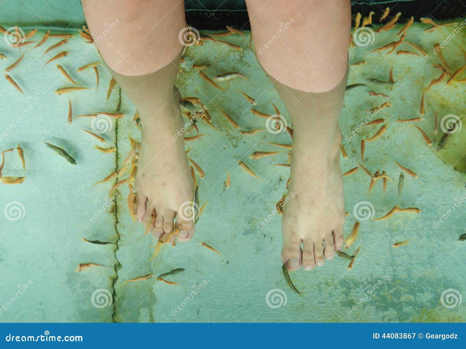 Fish Spa Skin Therapy stock image. Image of feet, hygiene 44083867