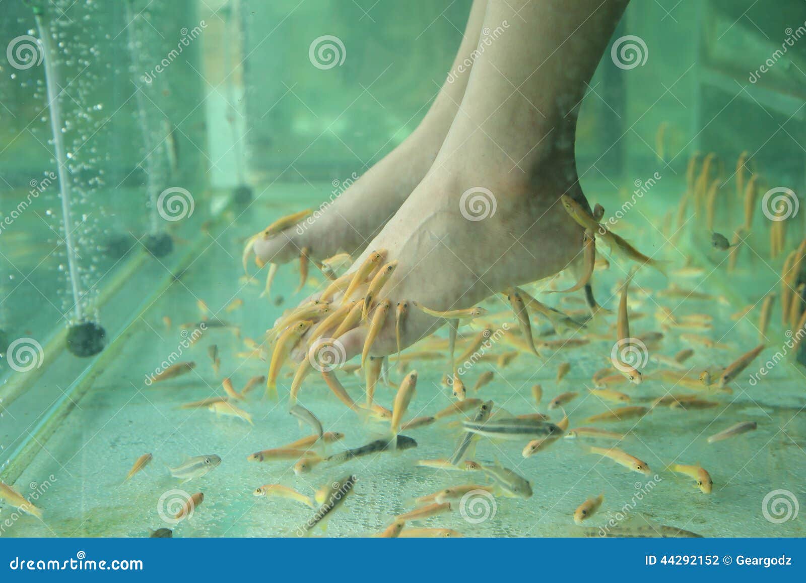 Fish Spa Skin Therapy stock photo. Image of lifestyle 44292152