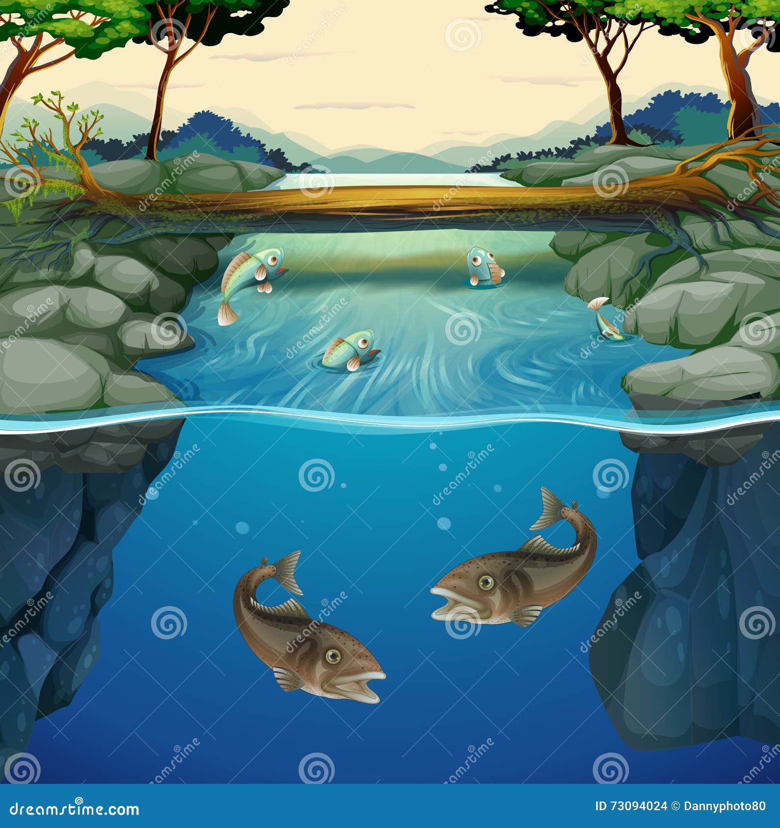 My Image 24