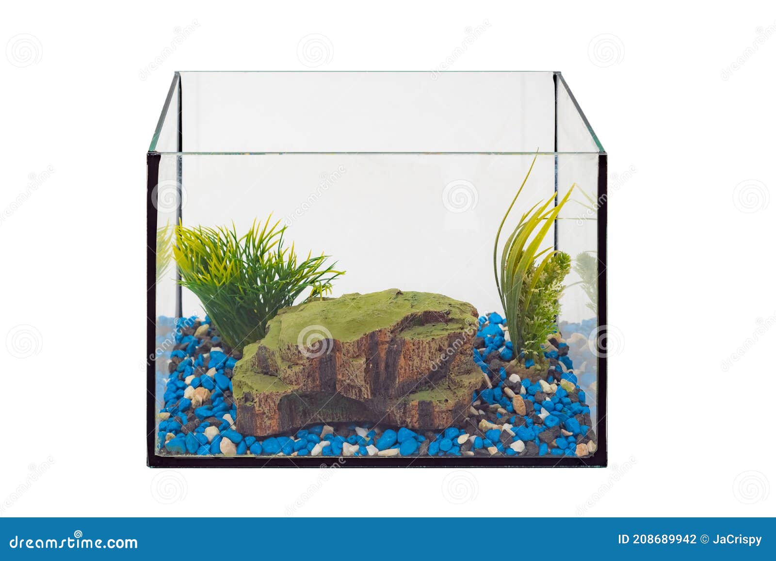 Fish Tank Aquarium With No Water And Fish On White Background Empty fish-tank-aquarium-with-no-water-and-fish-on-white-background-empty