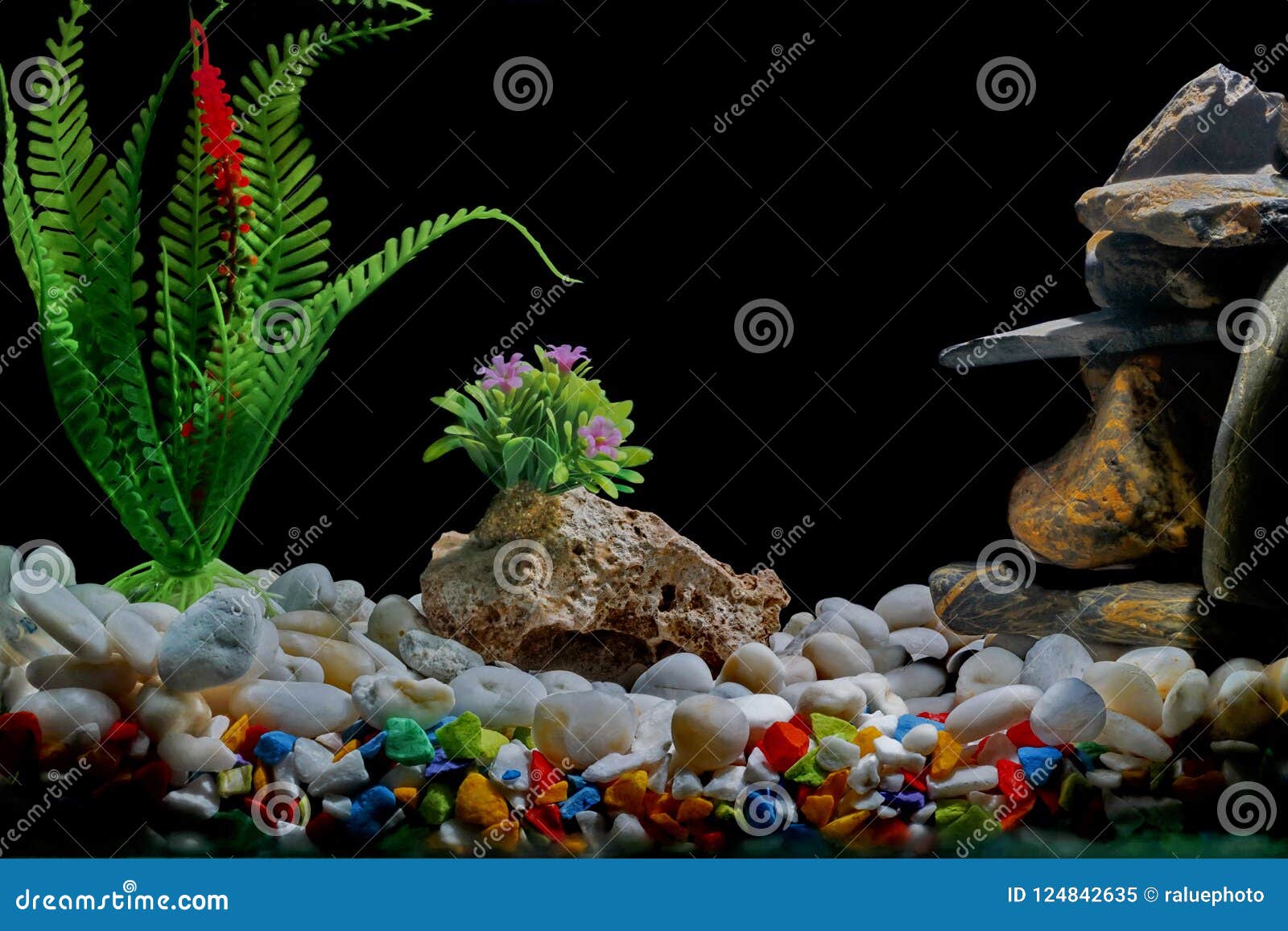 Fish Tank Decor, with Gravel and Tree, with Bubbles on the Black