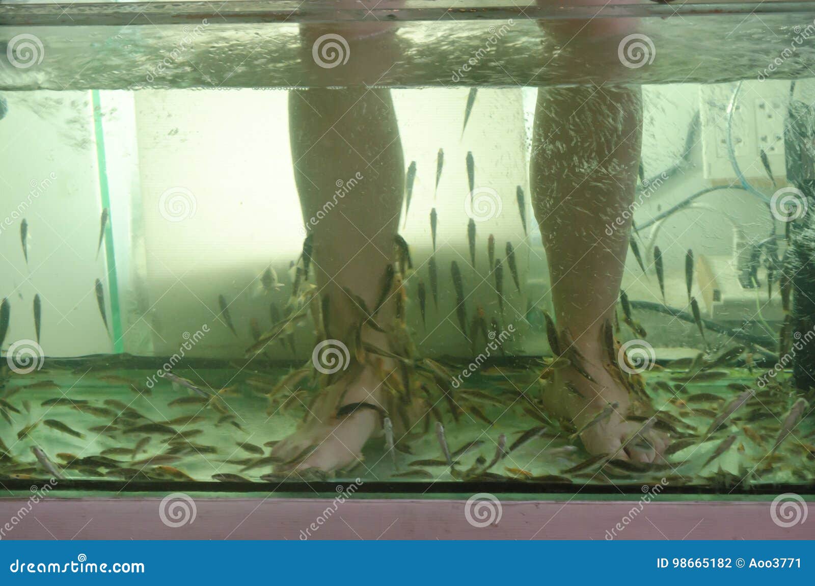 Foot Fish Spa stock photo. Image of human, concept, clean 98665182
