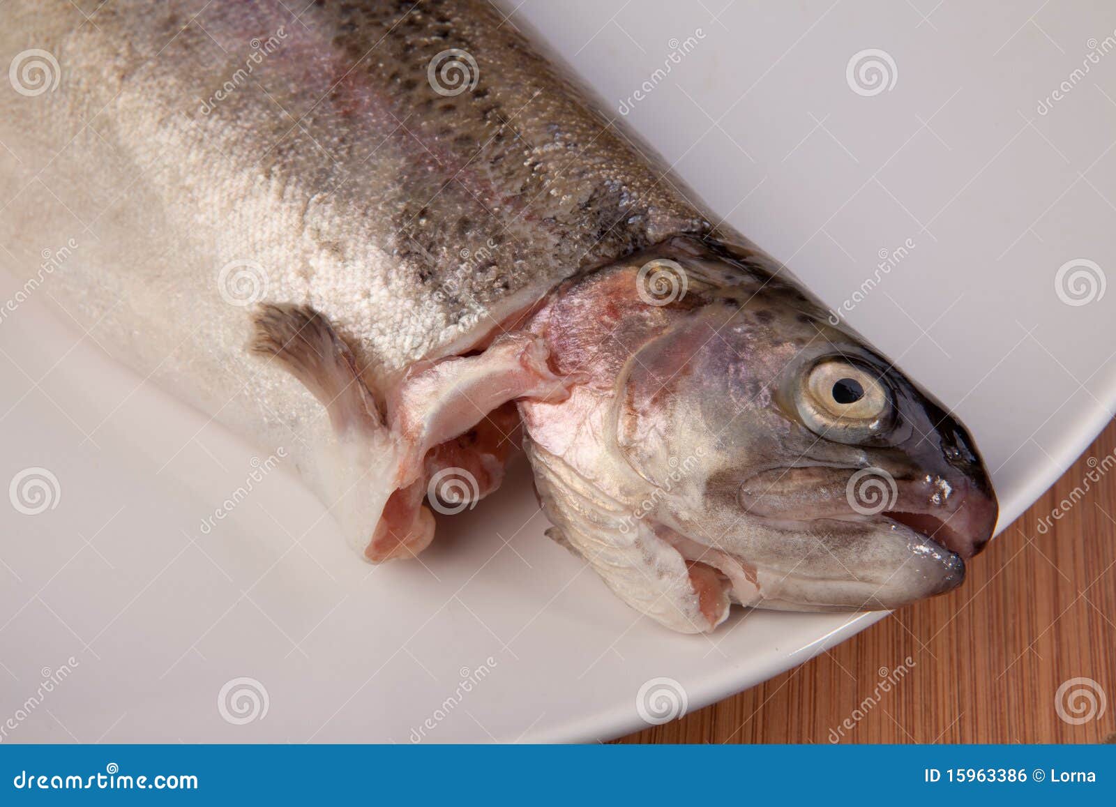 Fish trout meal plate stock photo. Image of prepared 15963386