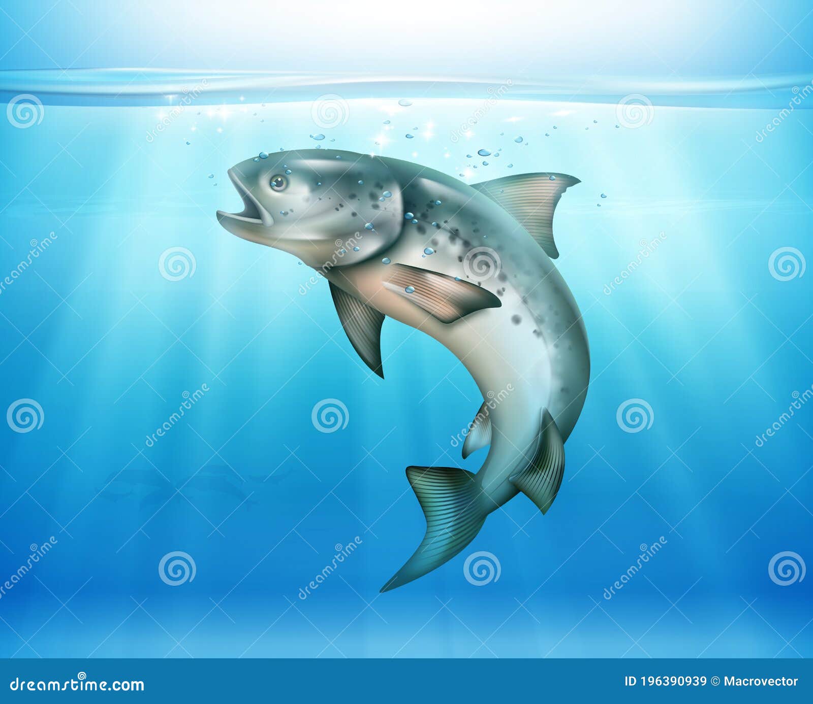 Fish Underwater Realistic Background Stock Vector - Illustration of