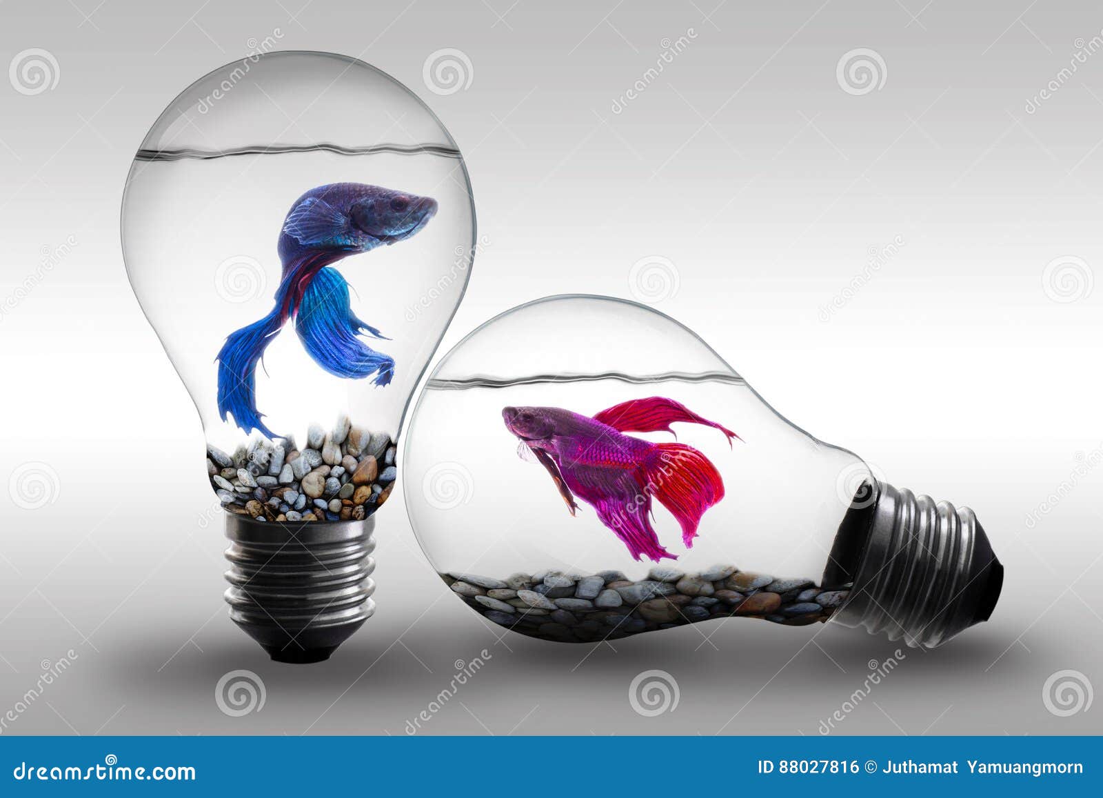Fish in Water Inside an Electric Light Bulb Concept and Idea Background