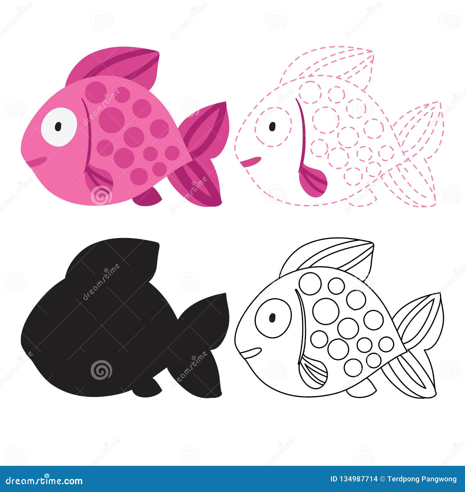 Fish drawing with labels