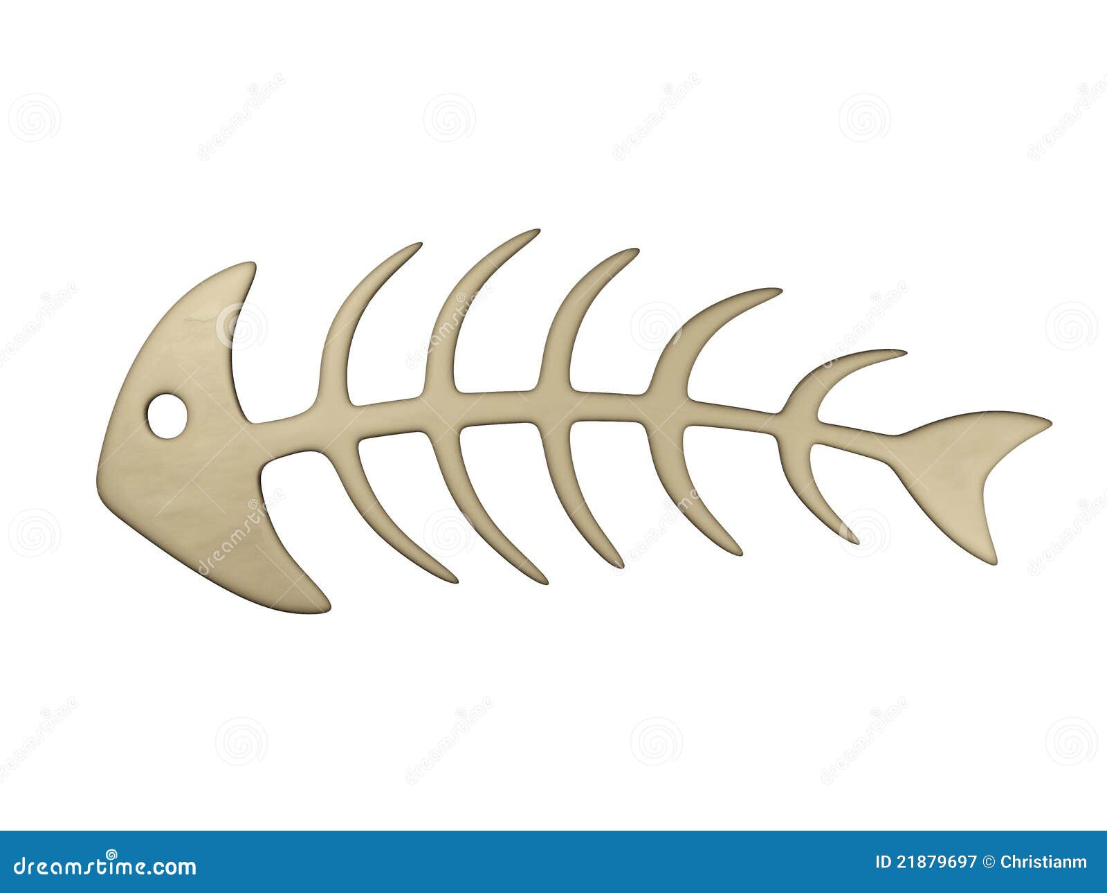 fish bones clipart - photo #24