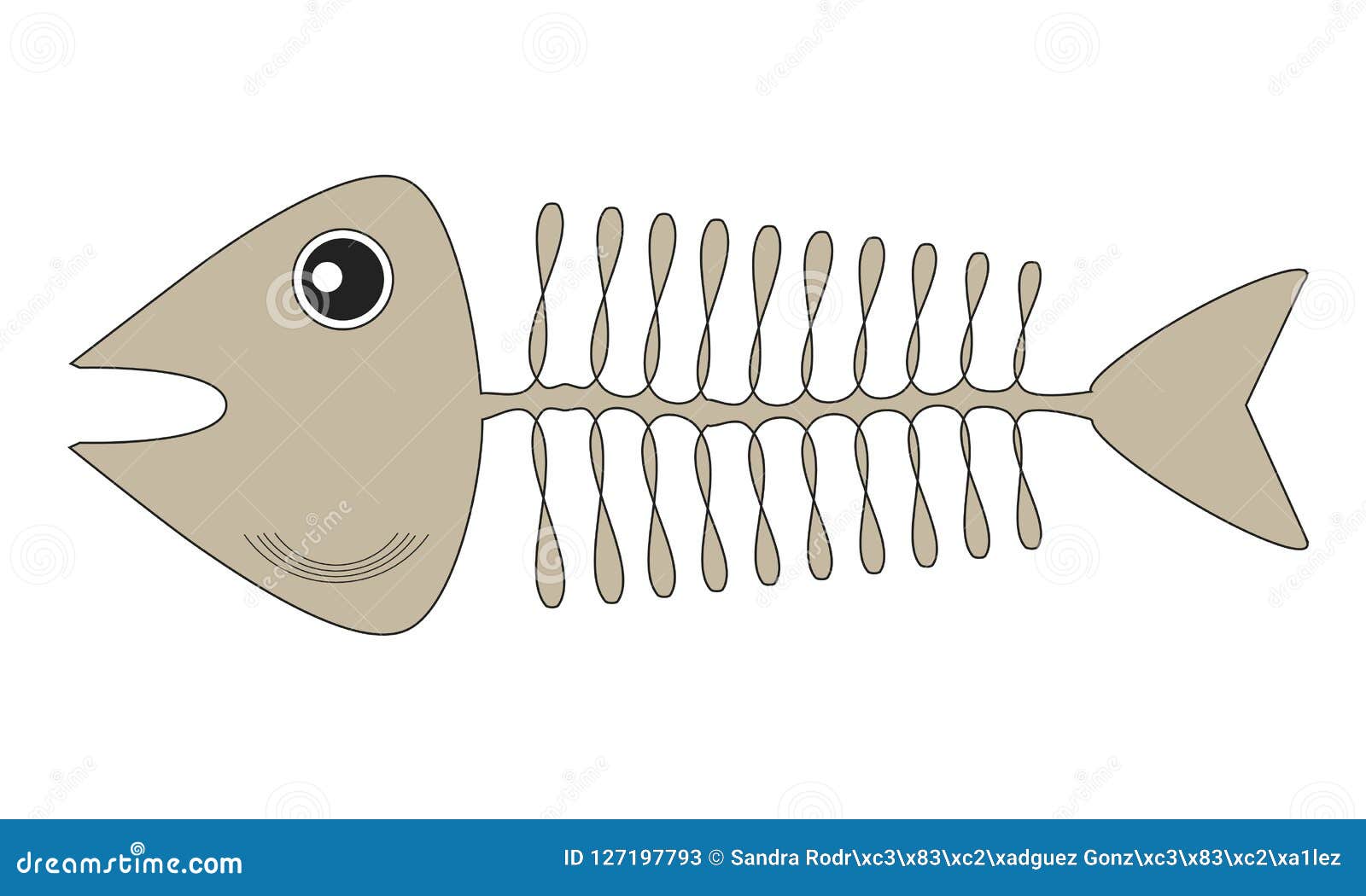 The Fishbone Drawing, Skeleton of the Aquatic Vertebrate Animal Stock  Illustration - Illustration of colored, bone: 127197793