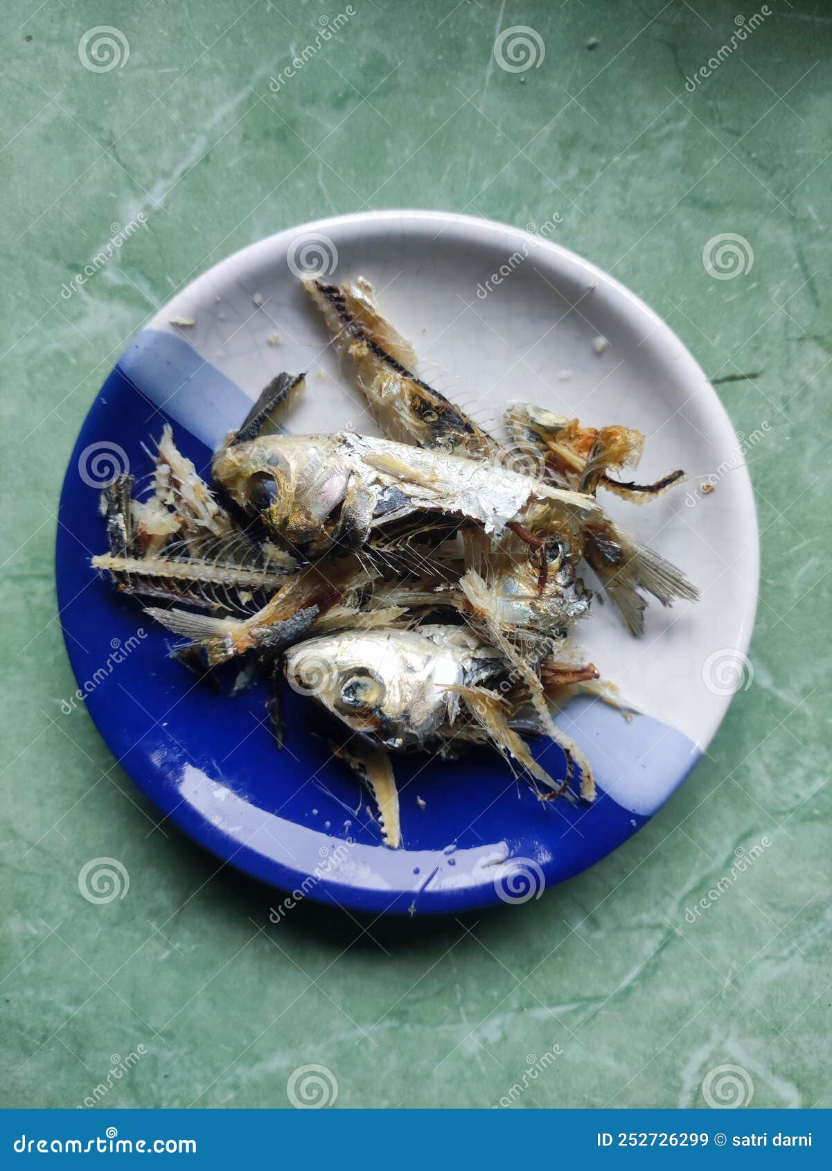 Fishbones stock image. Image of ready, fish, fishbones 252726299