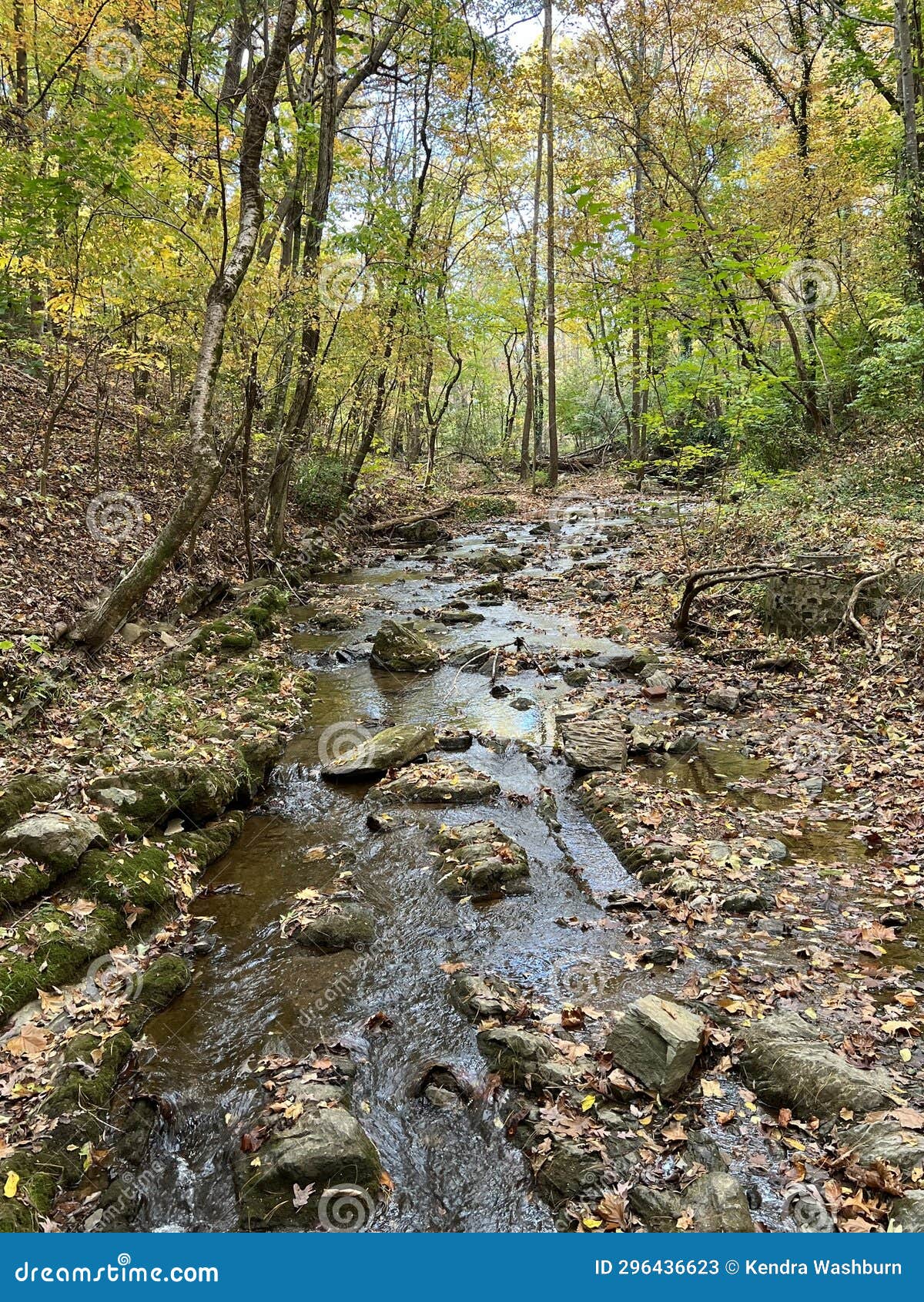 Fishburn Park Virginia stock image. Image of woodland 296436623