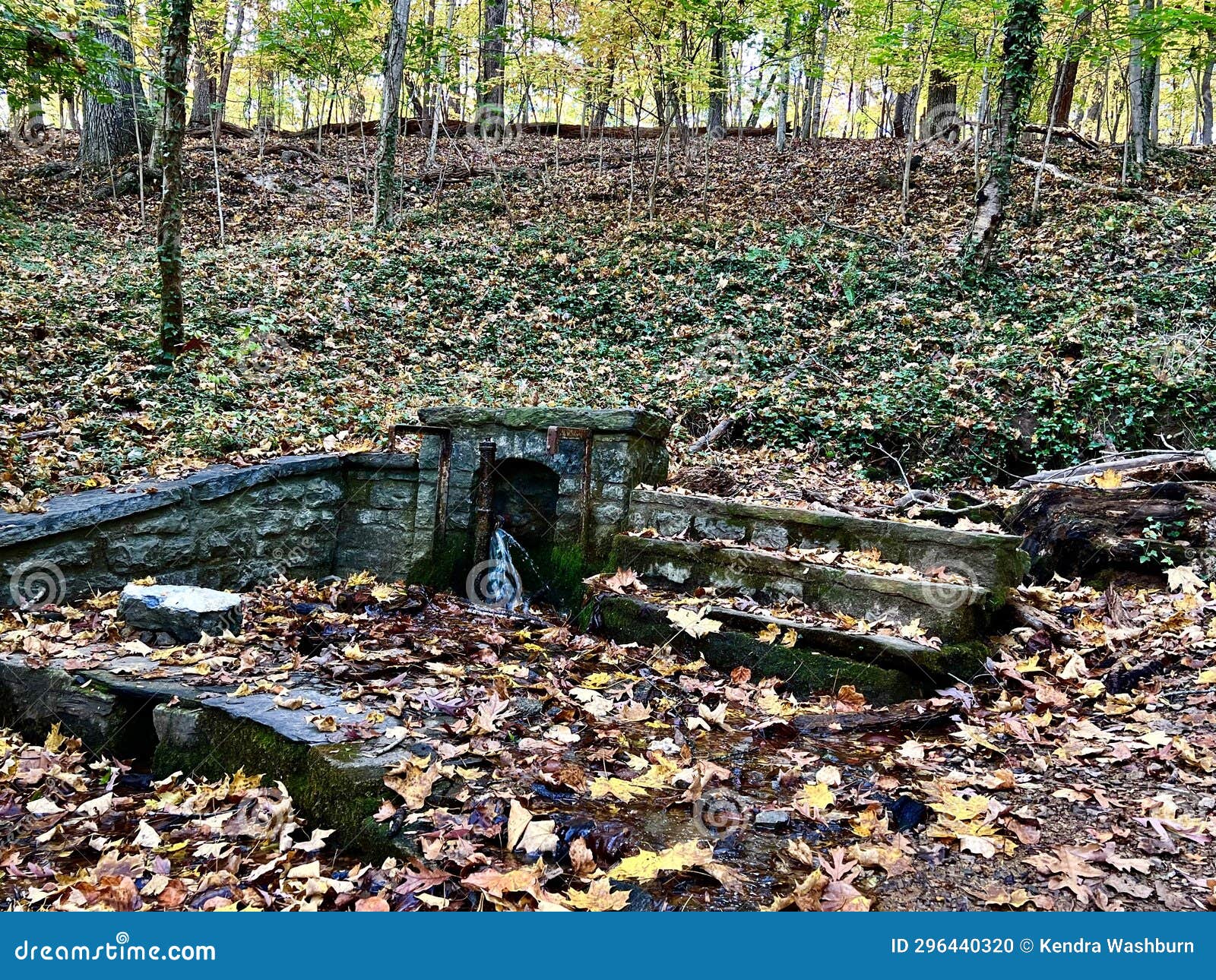 Fishburn Park Virginia stock photo. Image of sunlight 296440320