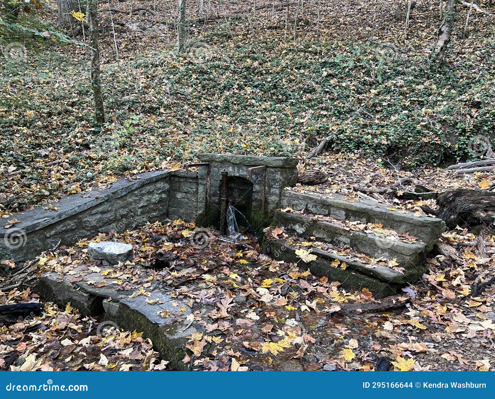 Fishburn Park in Virginia stock photo. Image of leaf 295166644