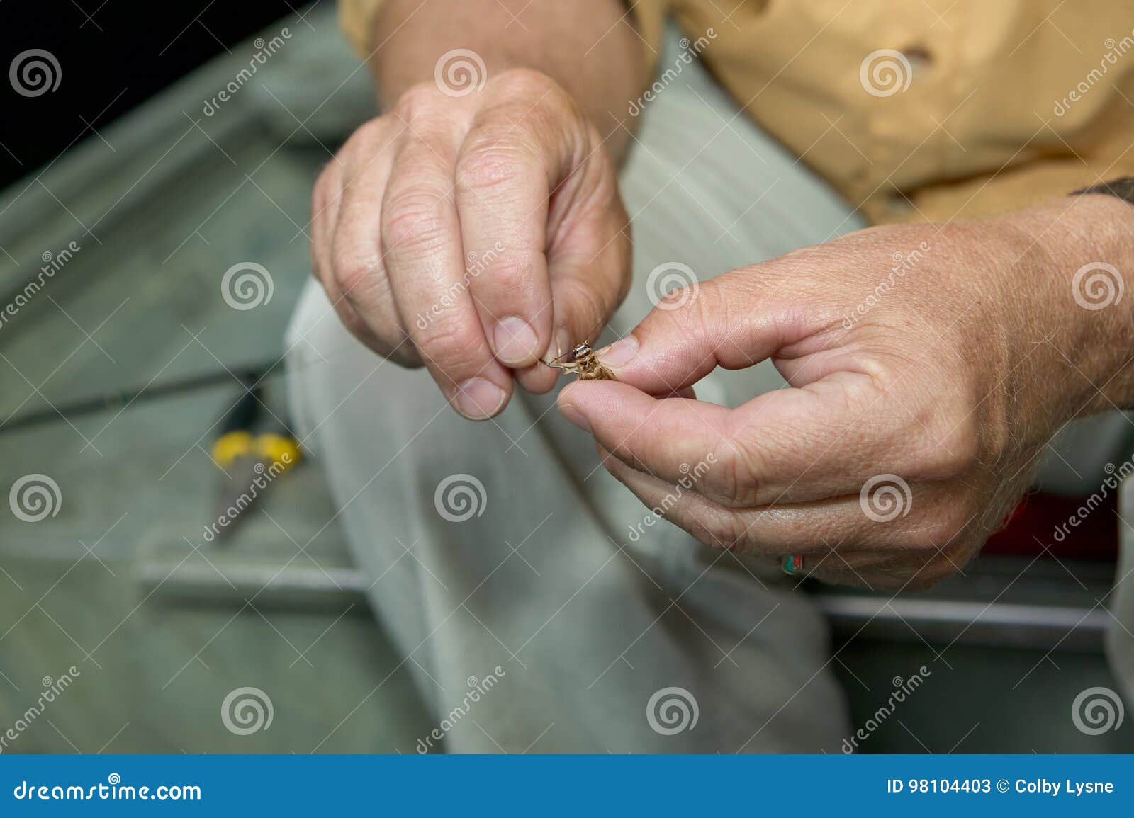 Cricket Fish Bait Stock Photos - Free & Royalty-Free Stock Photos from  Dreamstime
