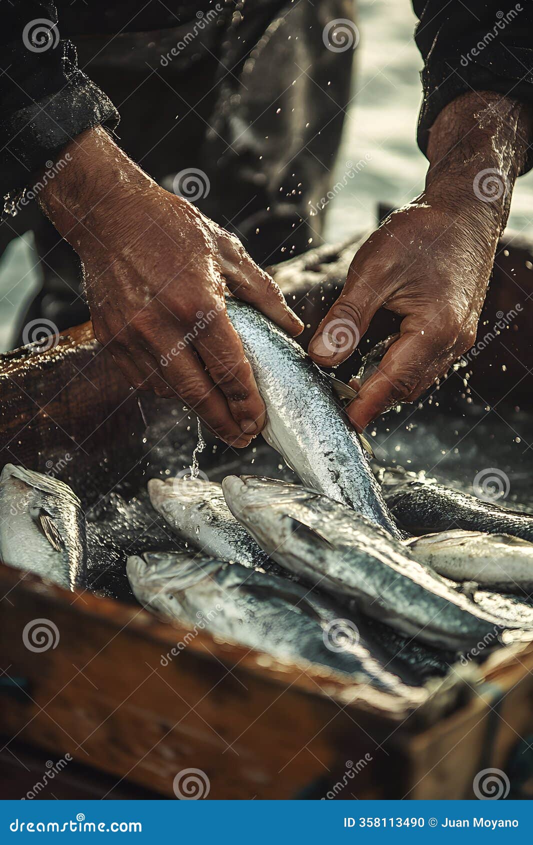 fisherman on board sorting the fish, generative ai