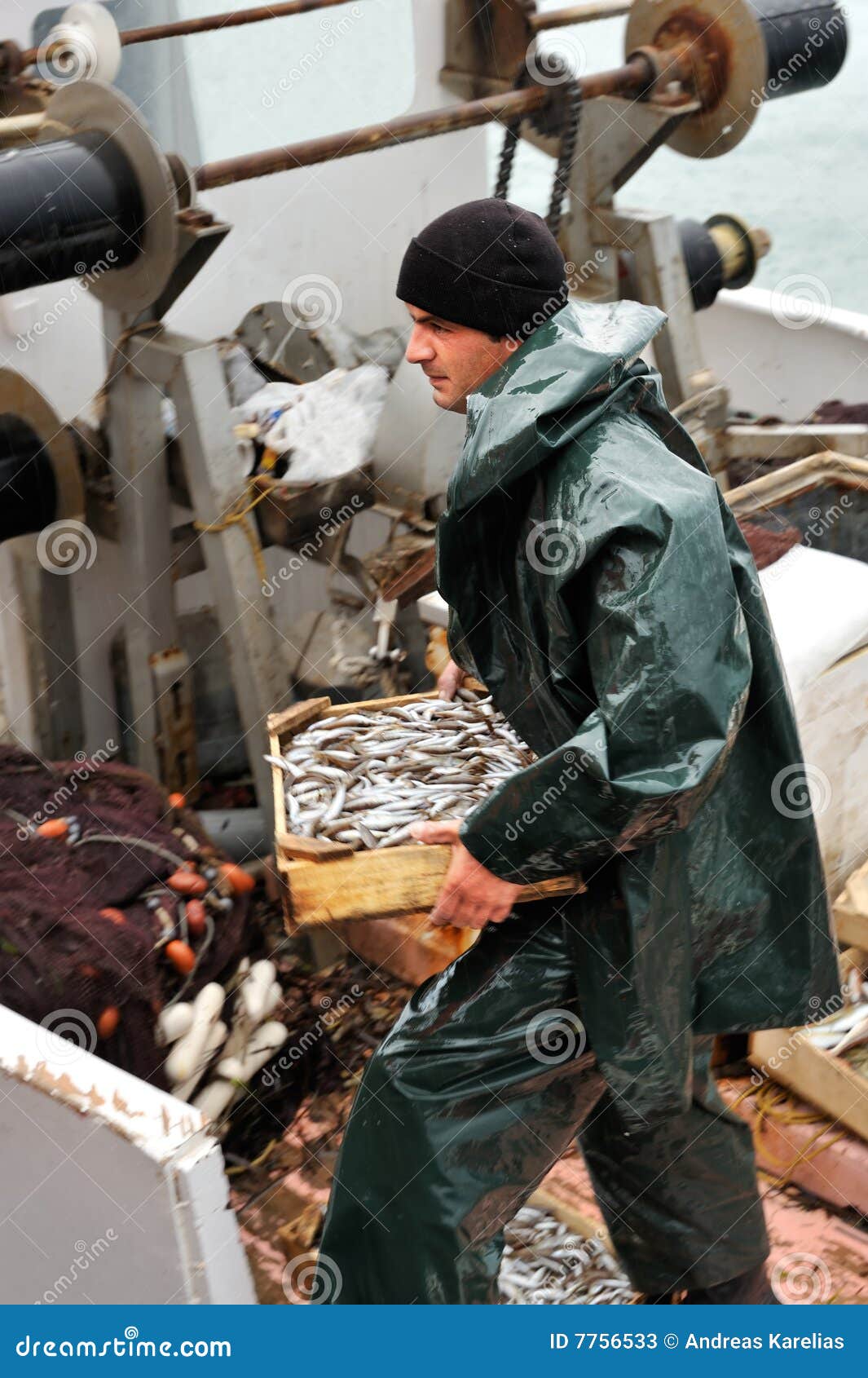 Fisherman Carrying Box With Fish RoyaltyFree Stock Photo