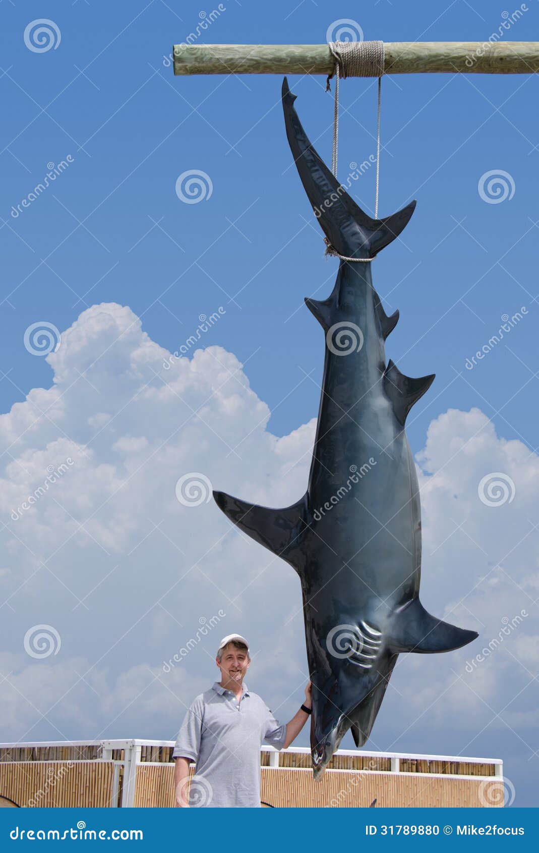417 Fisherman Shark Stock Photos - Free & Royalty-Free Stock Photos from  Dreamstime