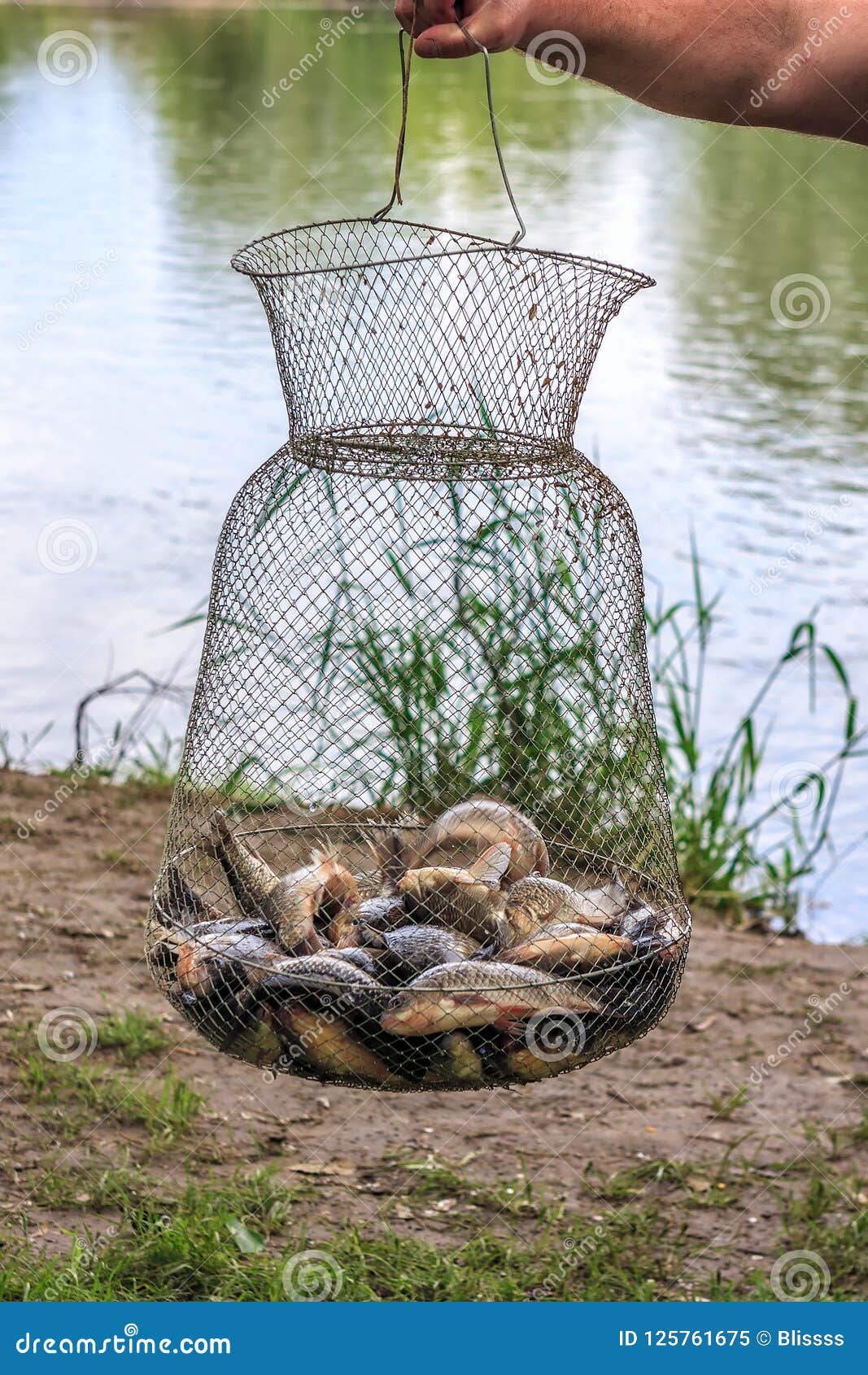 Fish Corf Stock Photos - Free & Royalty-Free Stock Photos from Dreamstime