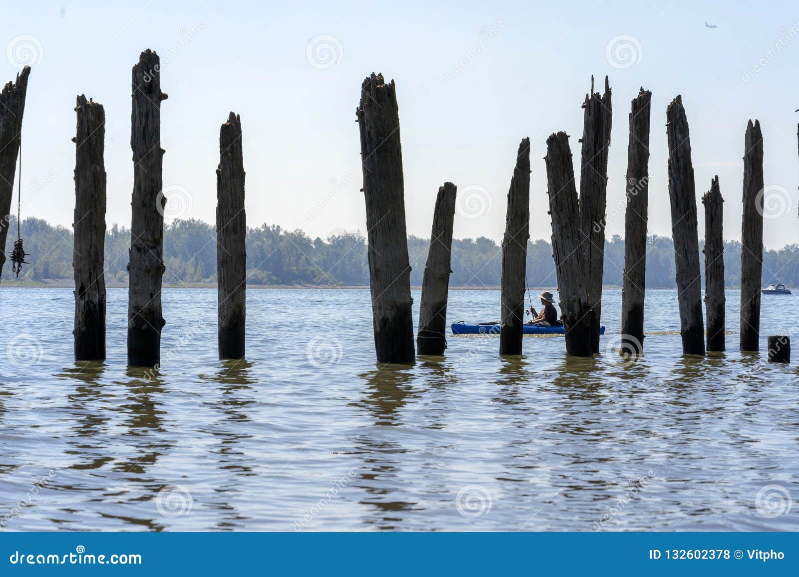 Fisherman on kayak on the Columbia River in Colombia Gorge sails. A fisherman with a hat is fishing on a kayak for salmon with a fishing rod on the Columbia River in the area of the remains of an old pier with rotten wooden props.