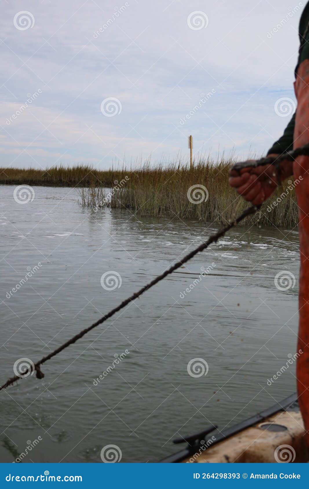Fisherman Pulling Up a Blue Crab Trap with Rope and Bouy in Hand Stock  Image - Image of commercial, beach: 264298393
