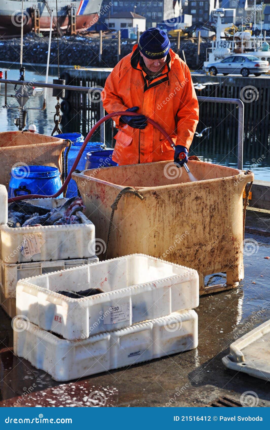 Fisherman in Reykjavik Harbor, Iceland Editorial Photography Image of