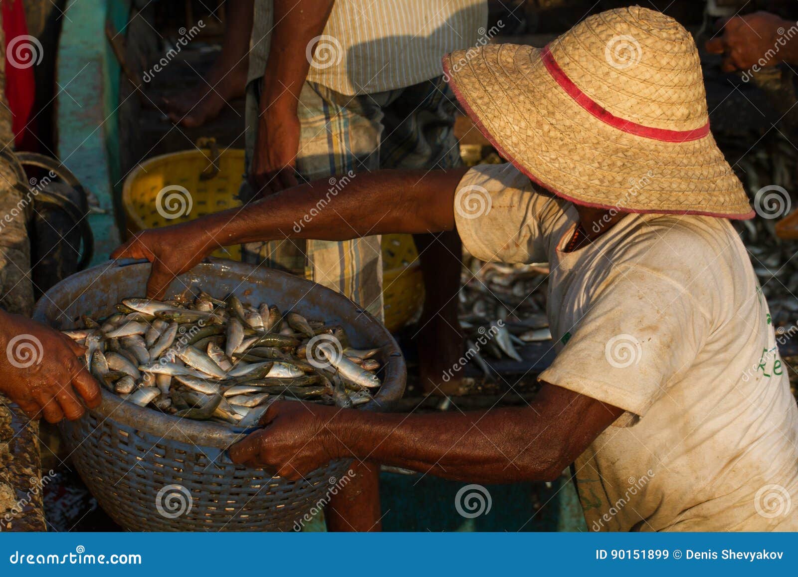 A Fisherman in a Straw Hat Passes a Basket of Fish.Unloading a