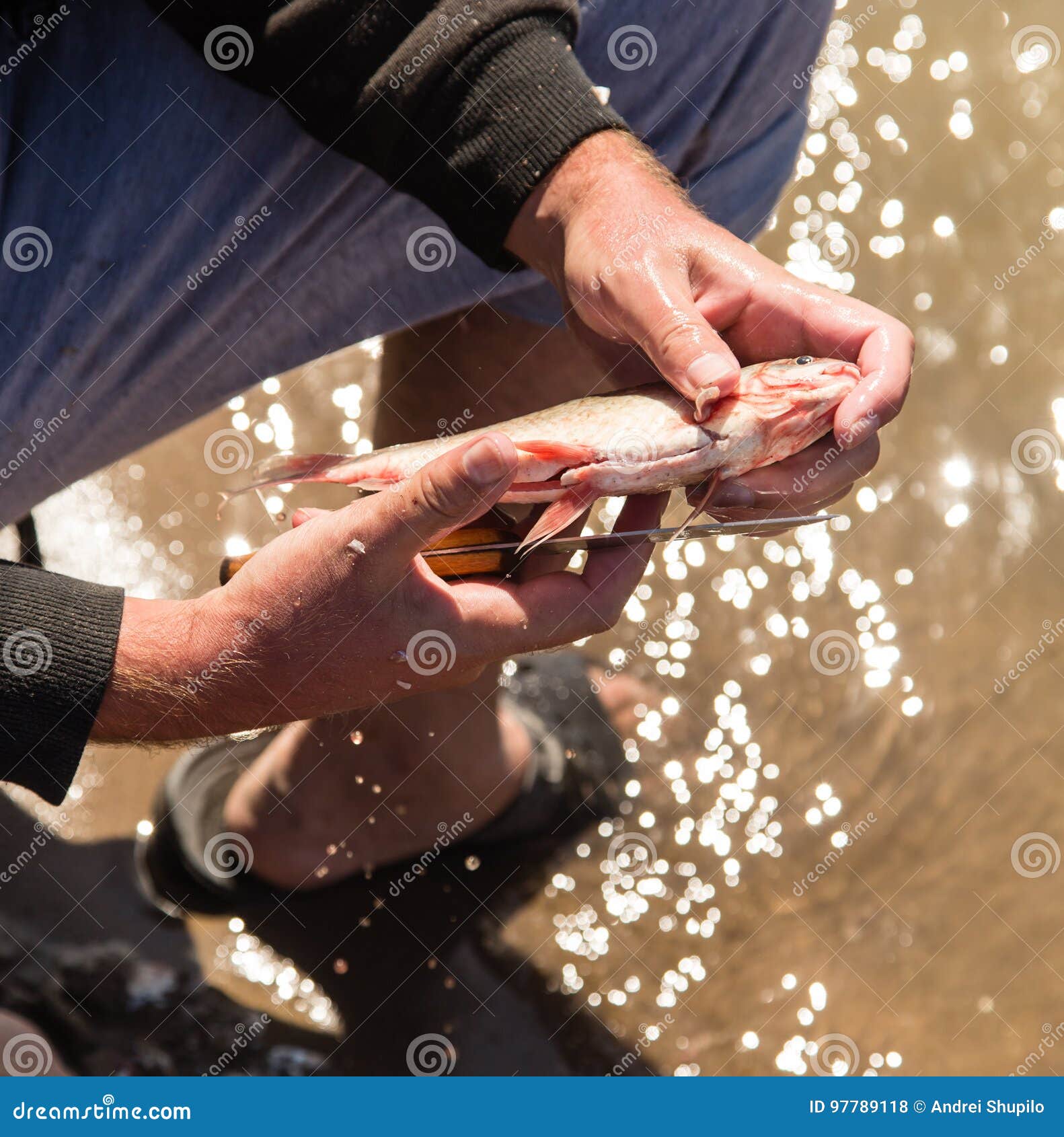 Fisherman To Clean a Fish with a Knife on the River Stock Photo Image